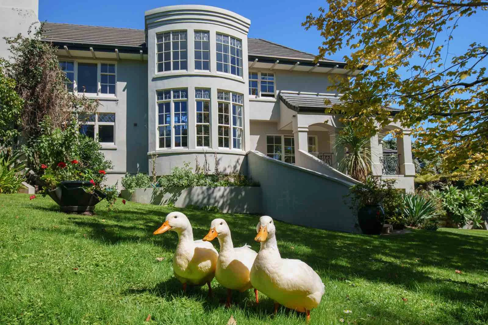 luxury accommodation wellington