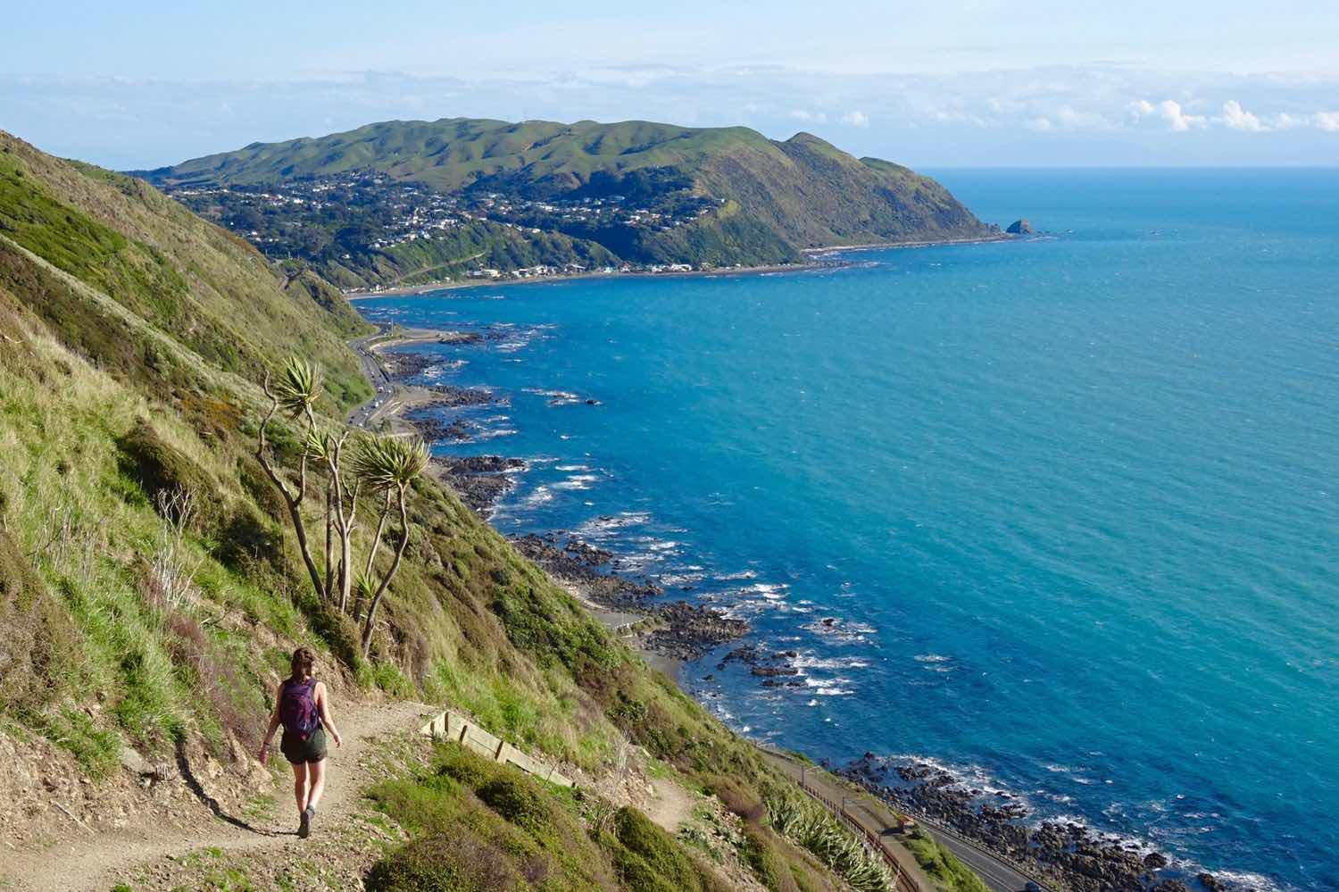 nz-holidays-kapiti-beach.jpg