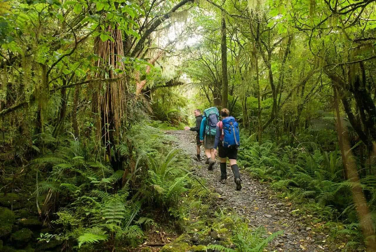 luxury-new-zealand-tours-hiking.jpg
