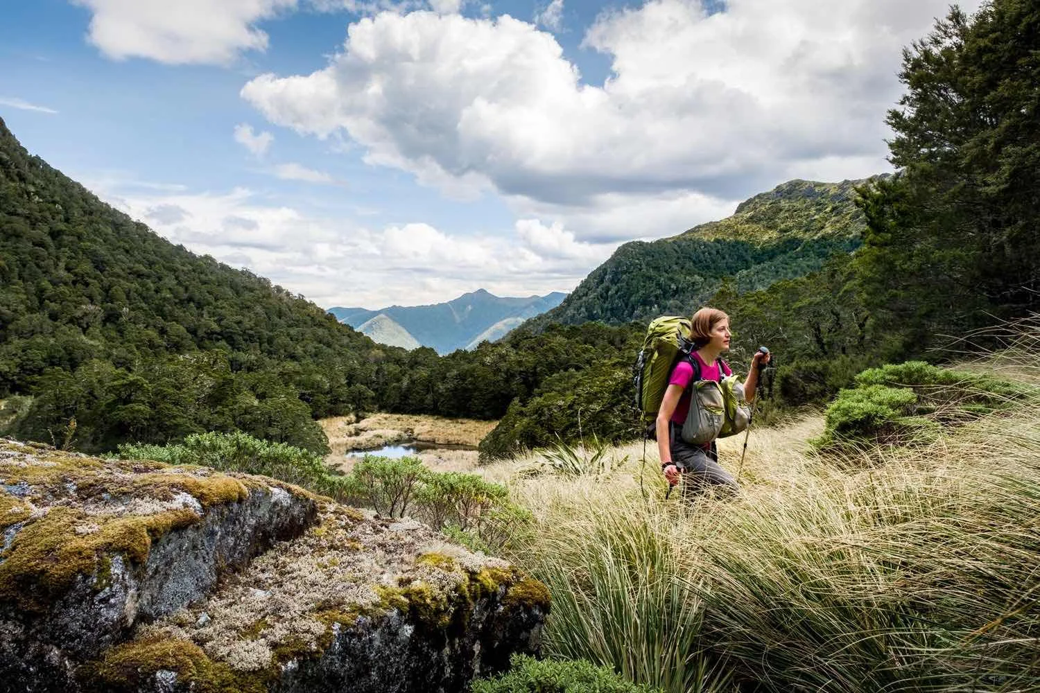 nz-tours-hiking-mount-hector.jpg