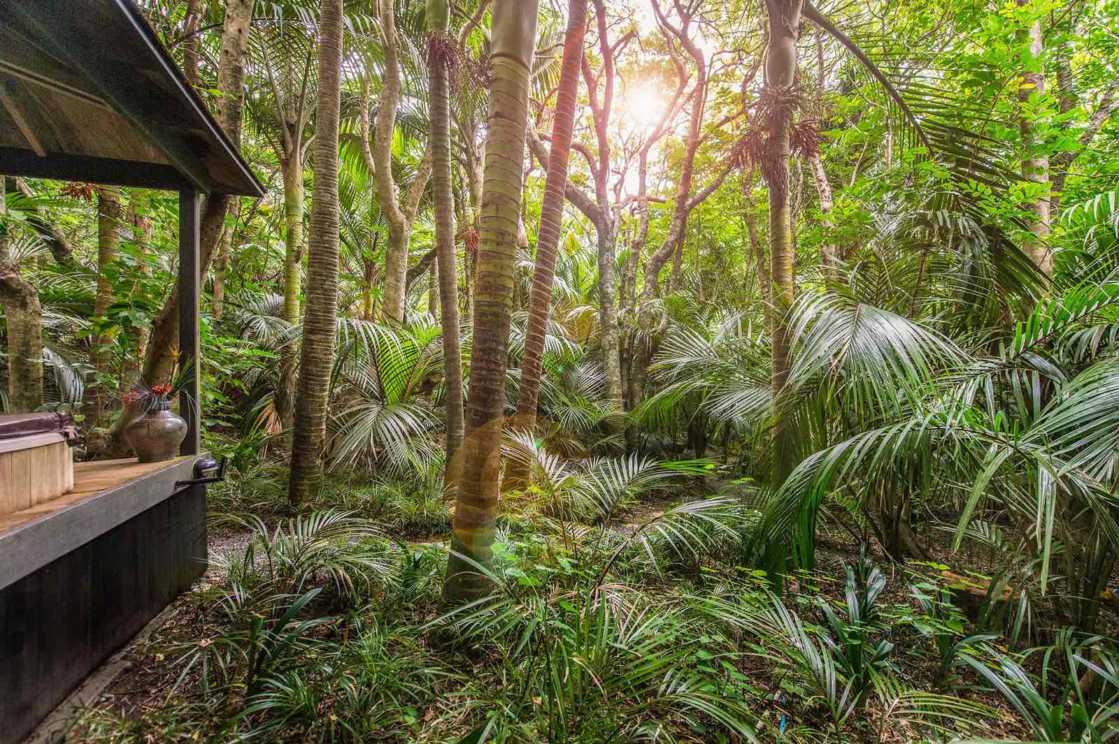 luxury-escapes-nz-garden.jpg