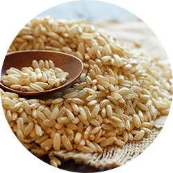 whole grains.jpg