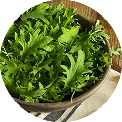 leafy-greens.jpg