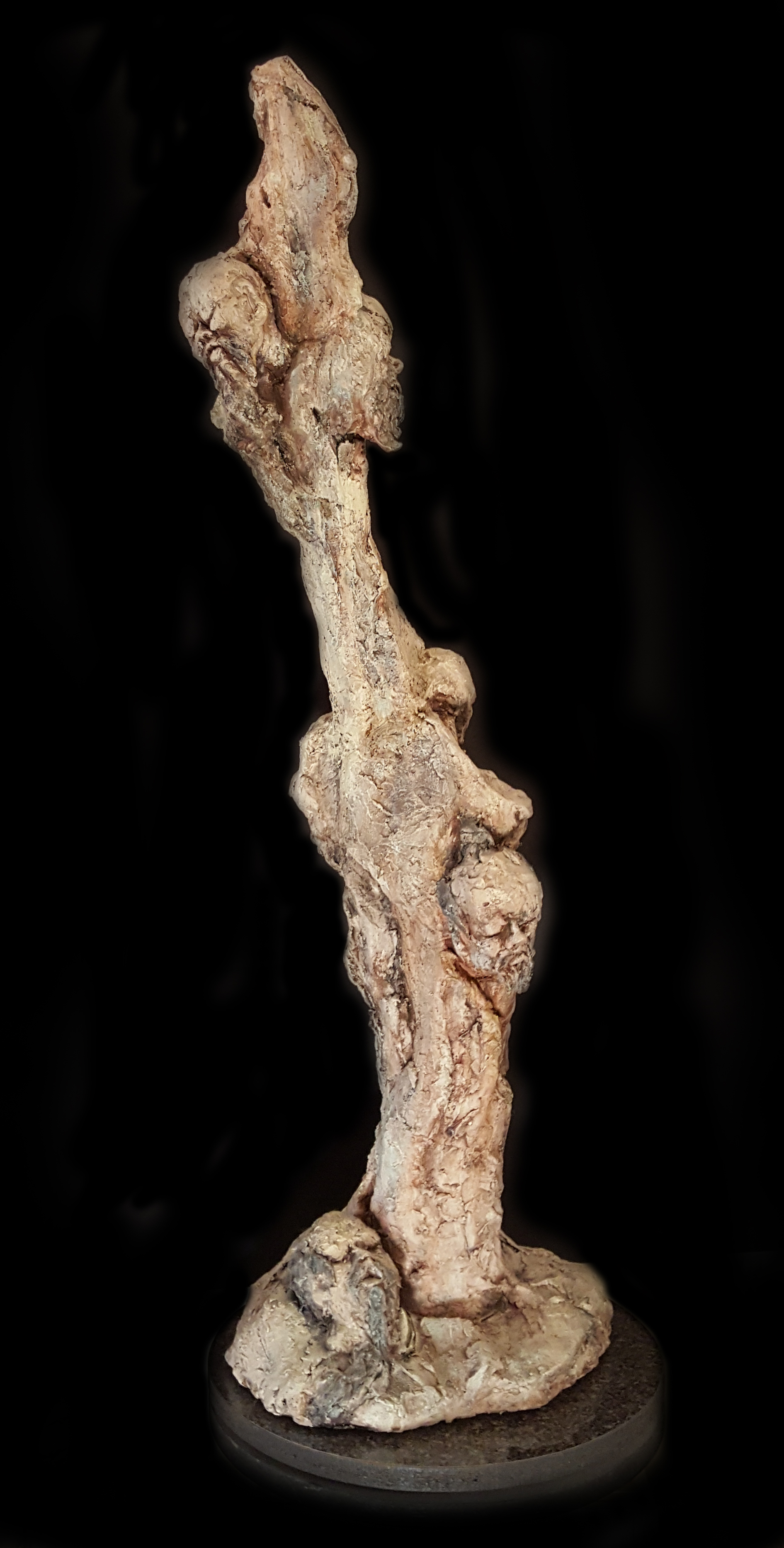 Totem of Wisdom