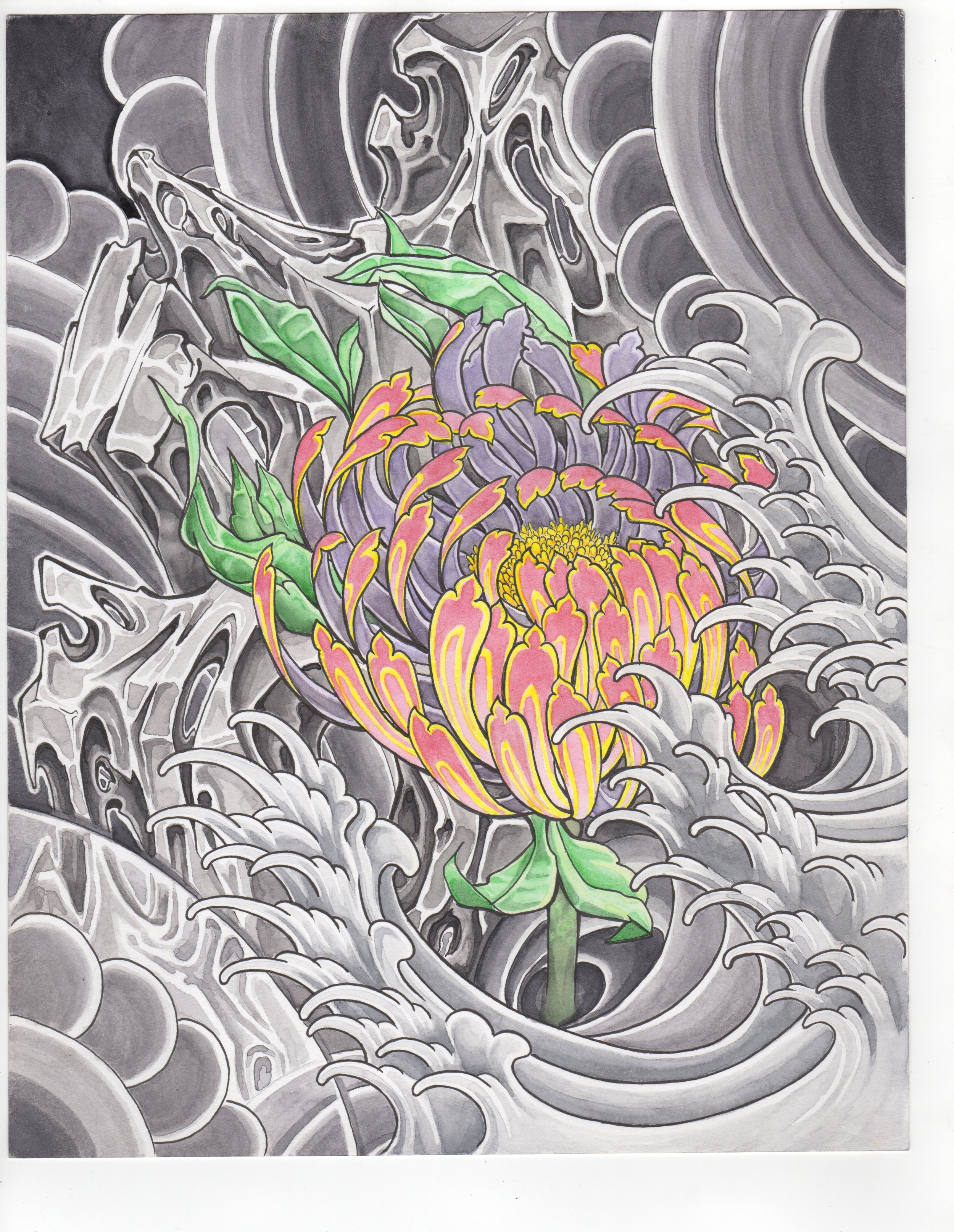 Chrysanthemum on Rock