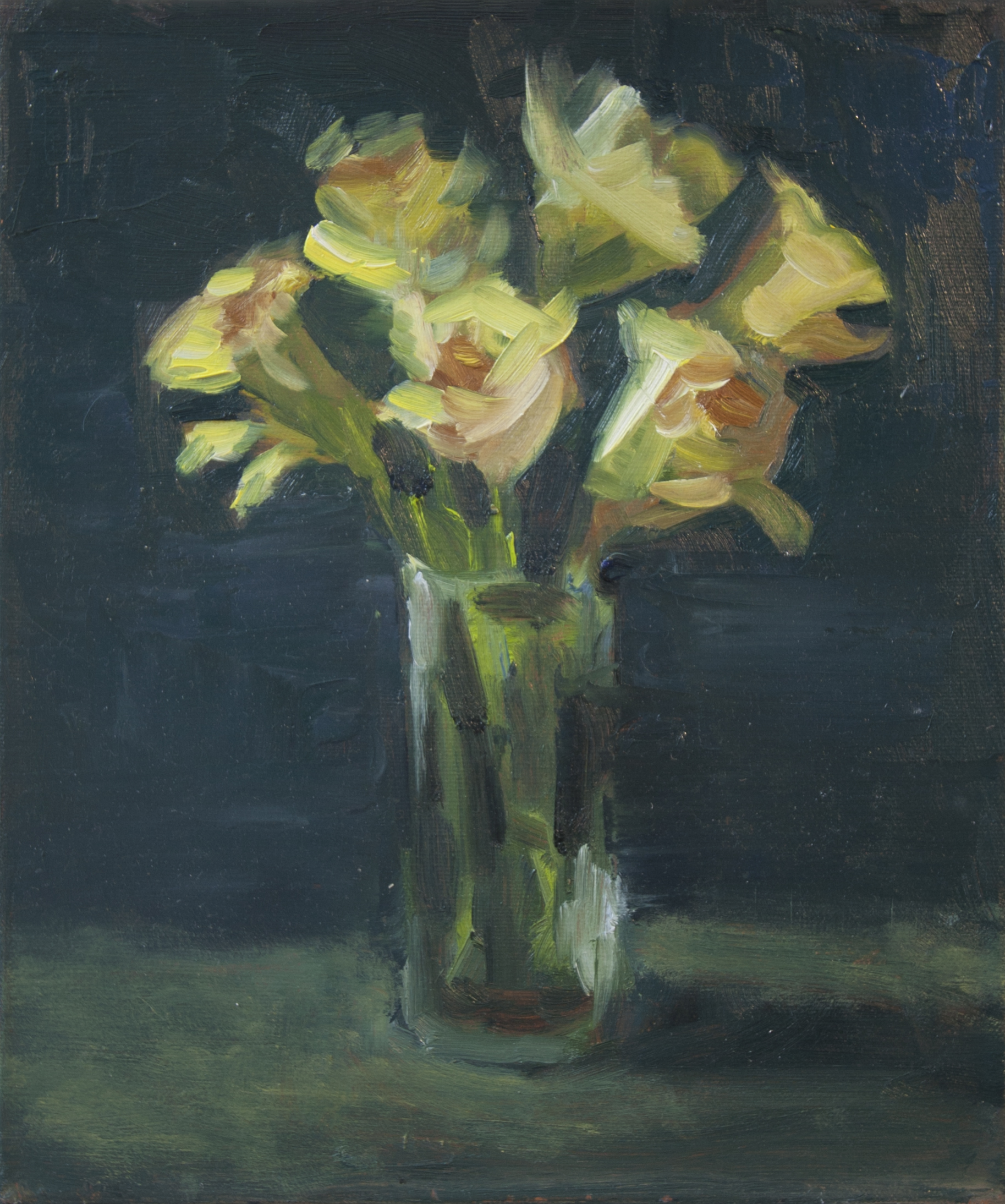 Jonquil