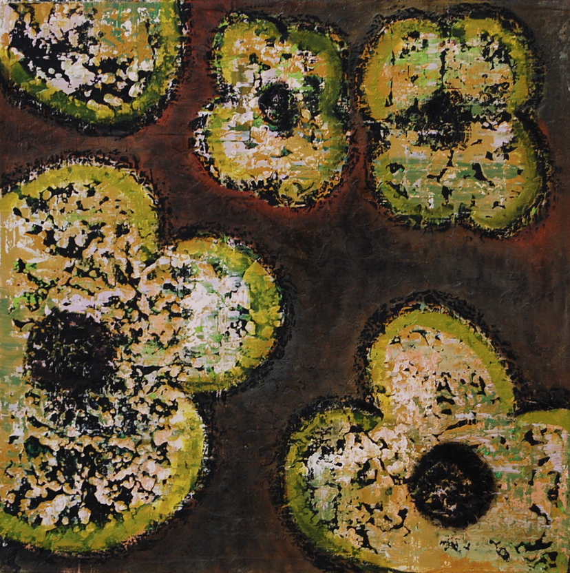 Flowers 9