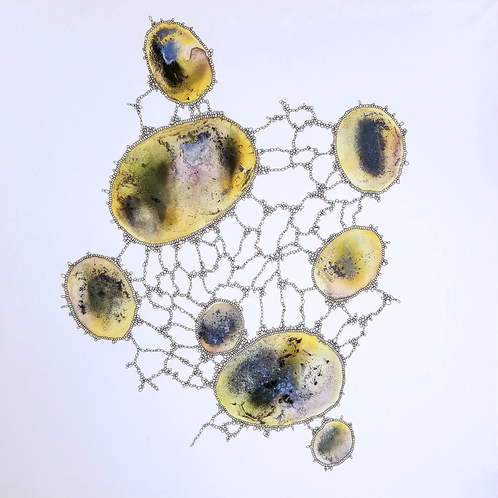 Life-form IV