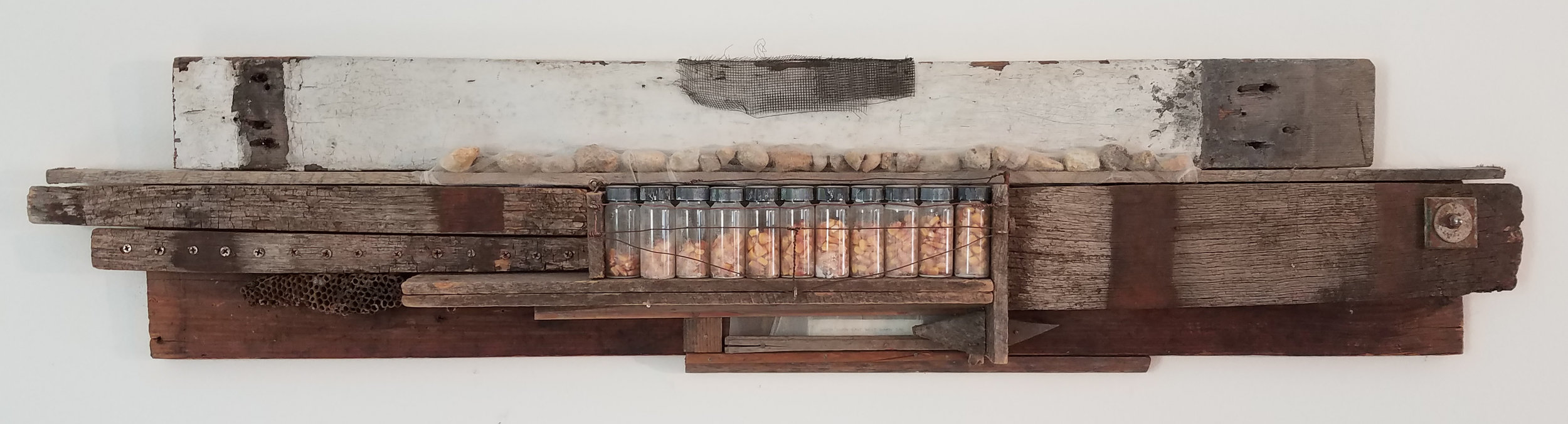 Corn Field West of Twp. Rd. 191.jpg