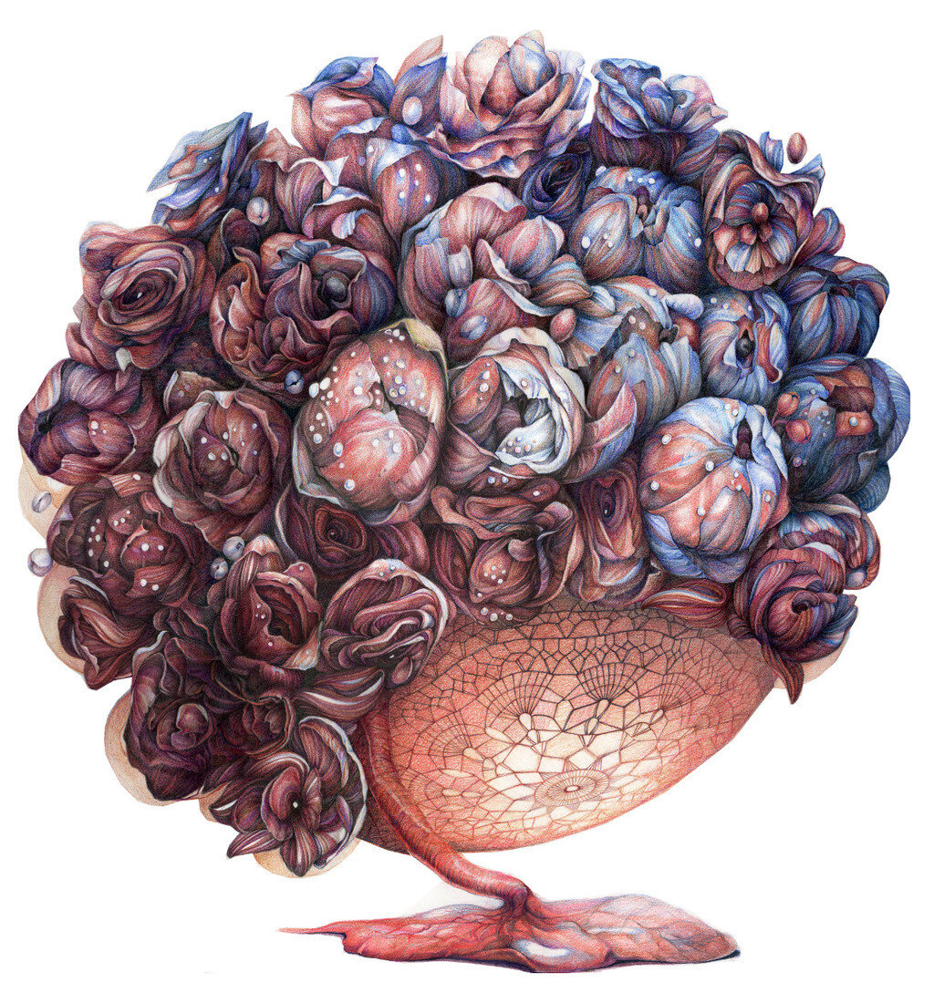 Placenta Bloom