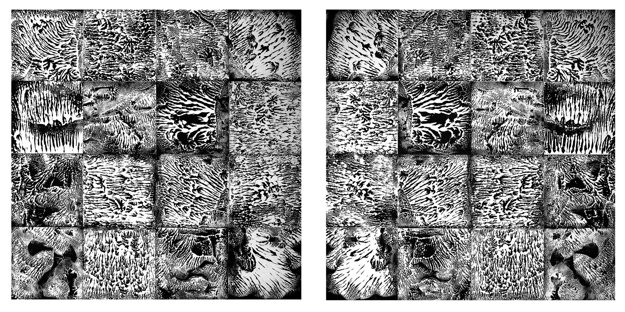 Looking Glass Wood, paper, oil based ink, acrylic  20”x42” $1,200