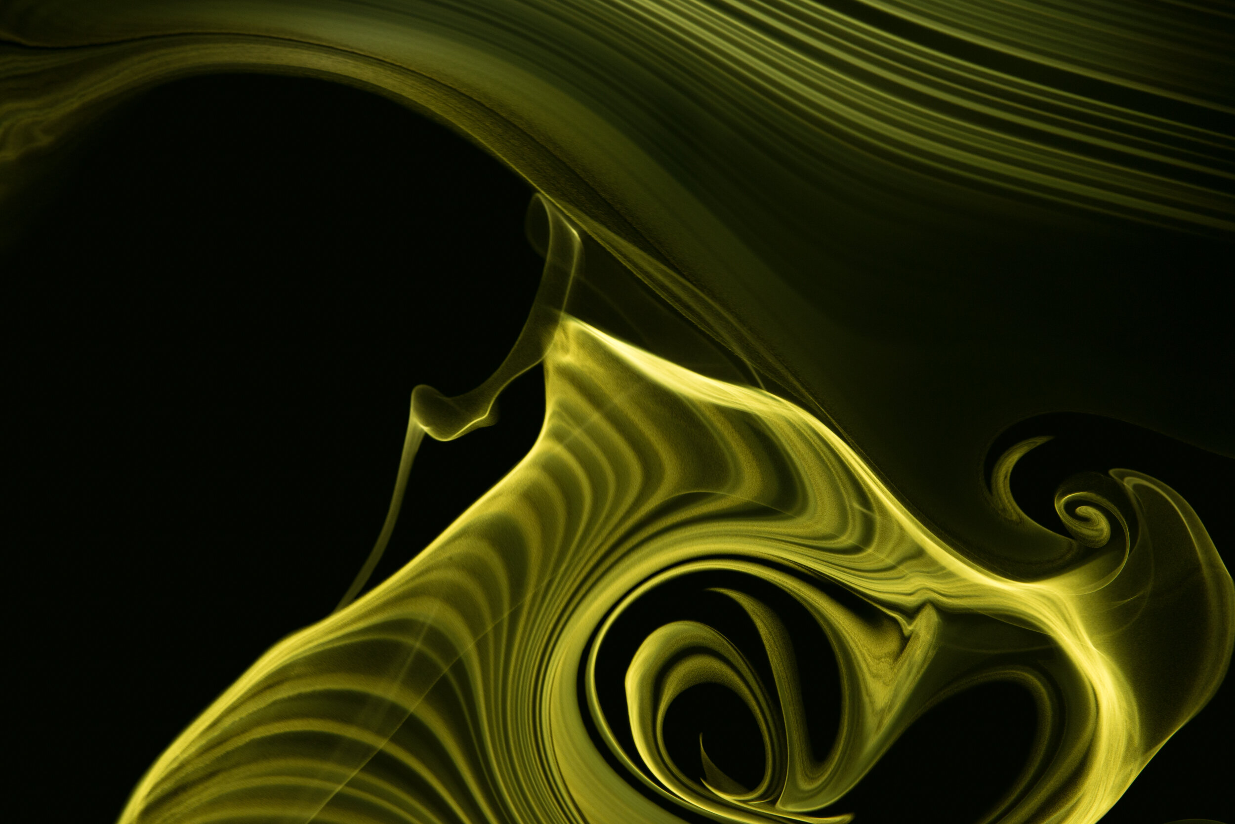 Whorl