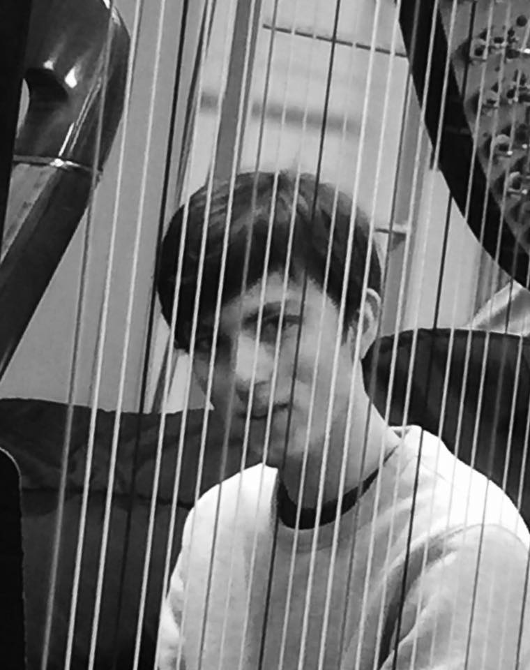 NathanSpringman_March2018_HarpStrings.jpg