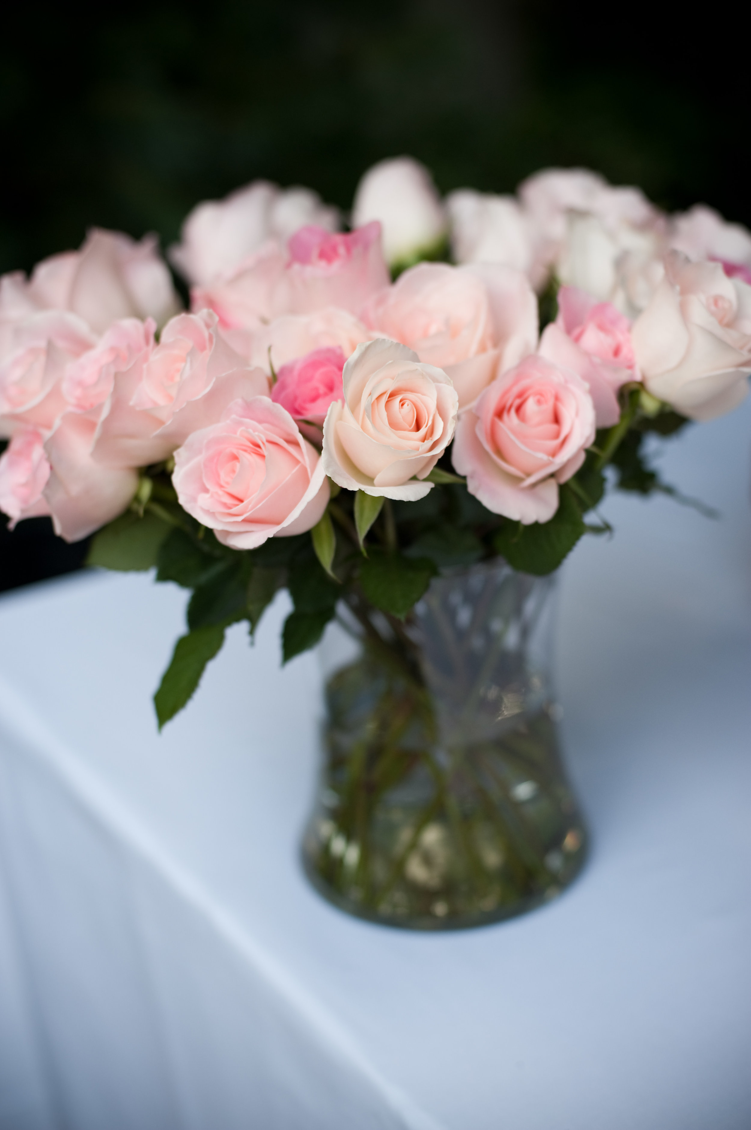 Special Event and Holiday Decorating 