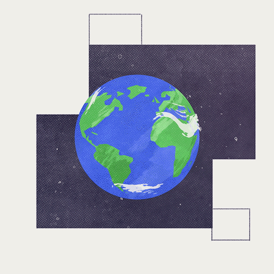 Rain Forest Foundation - Earth Day