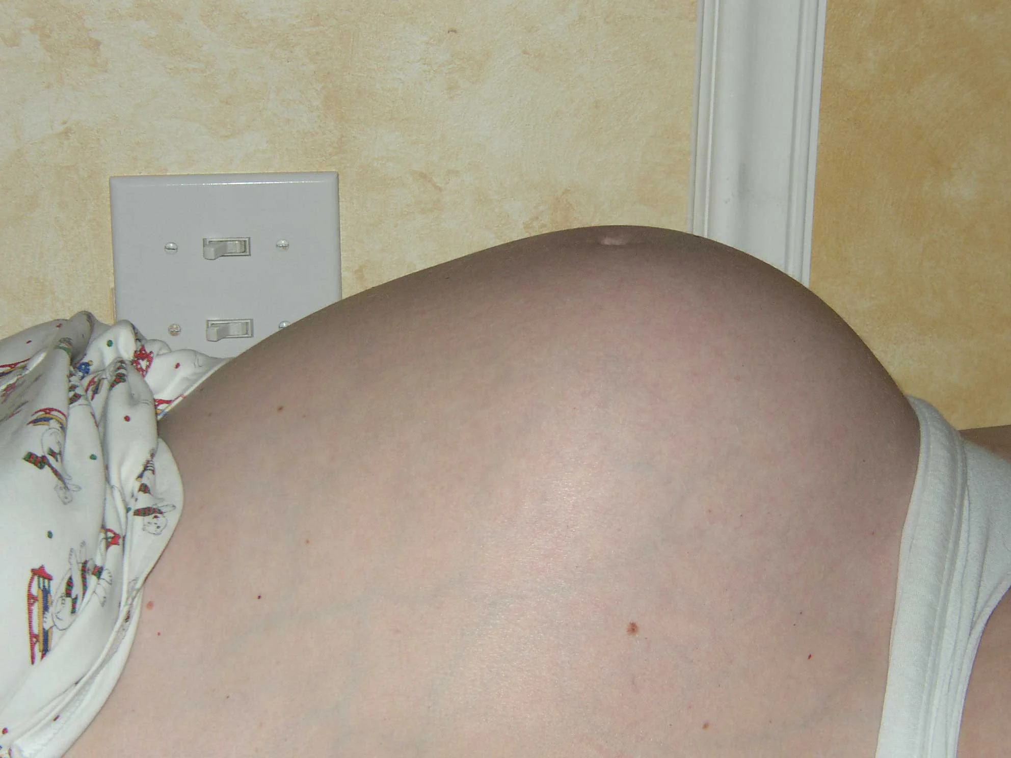 P6010005_1_2.jpg
