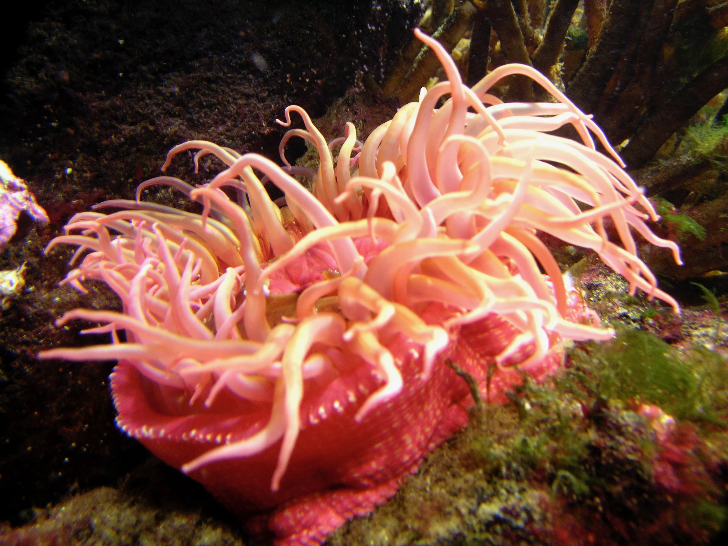 DSCN1084.jpg