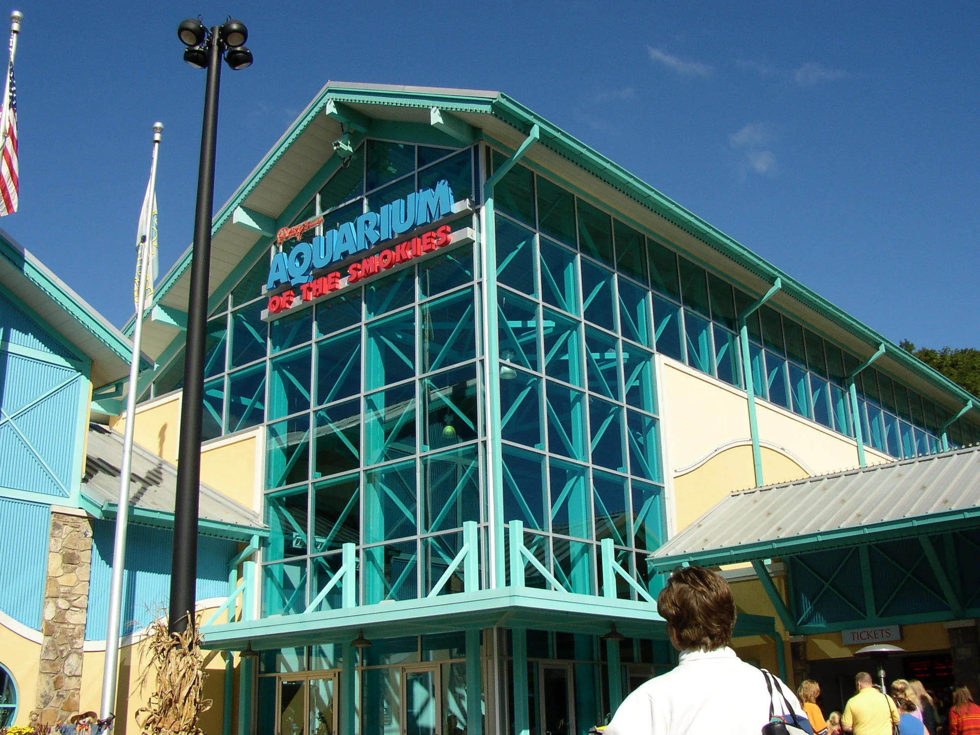 PA061618.jpg