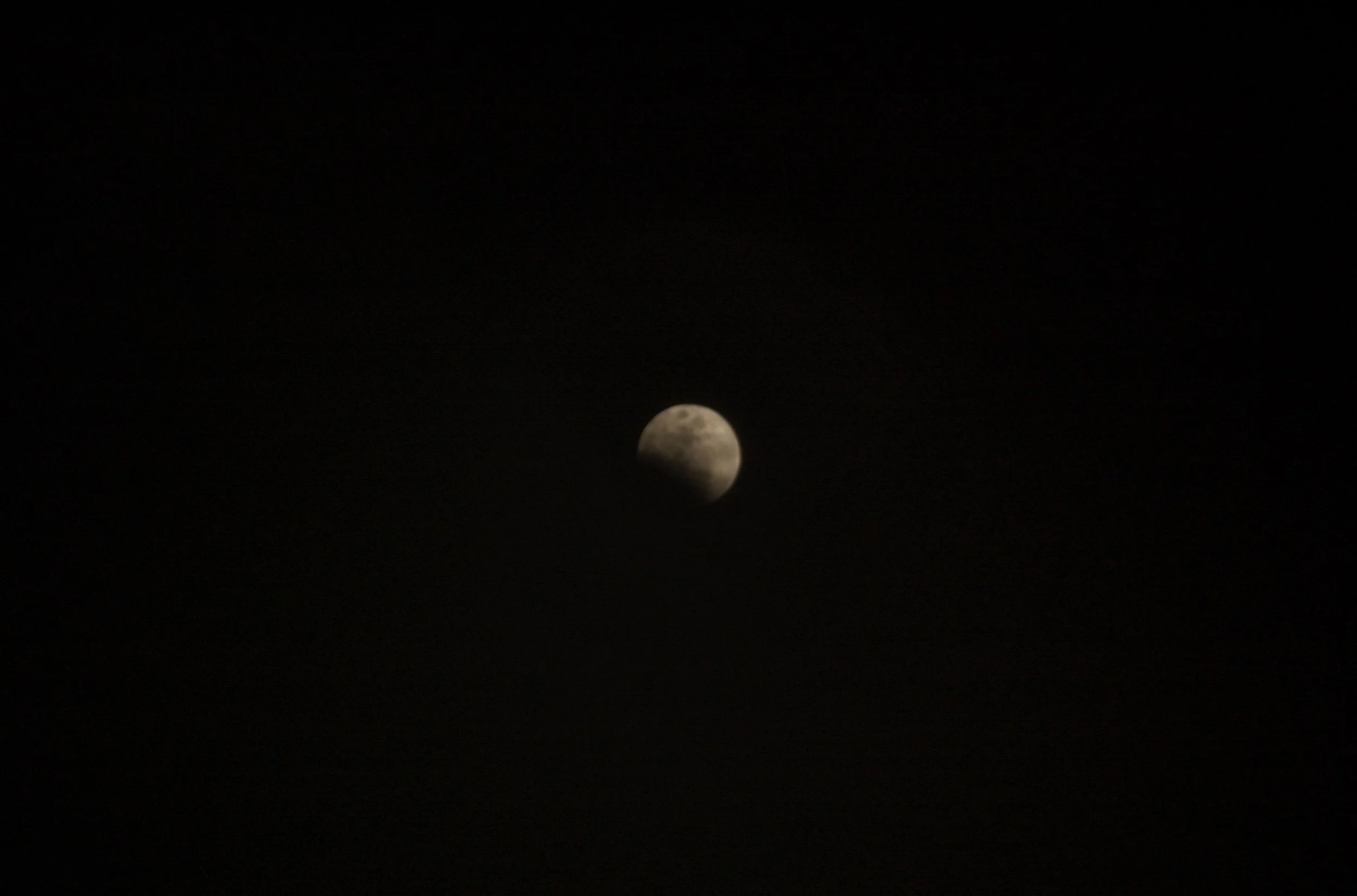 DSC_0134.jpg