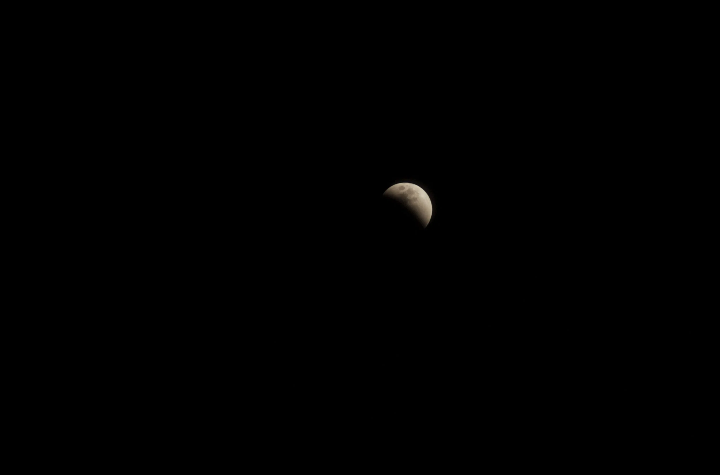 DSC_0181.jpg