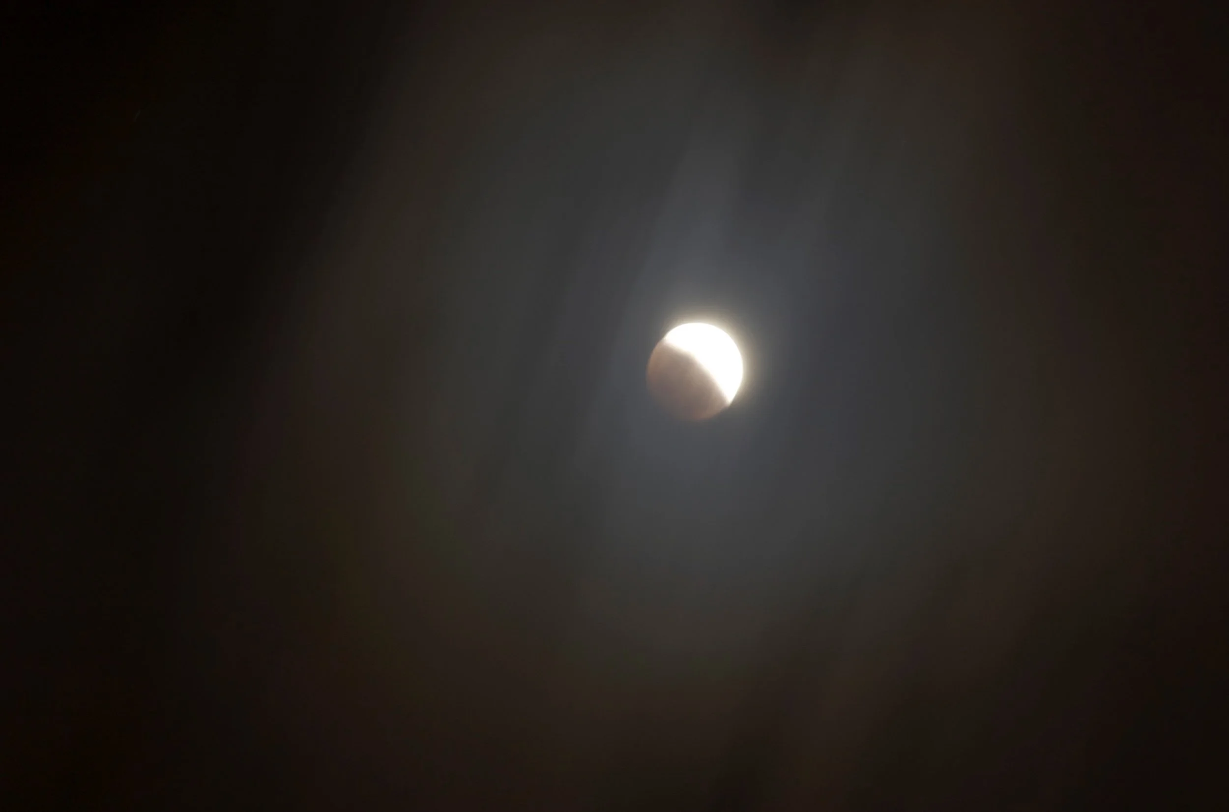 DSC_0199.jpg