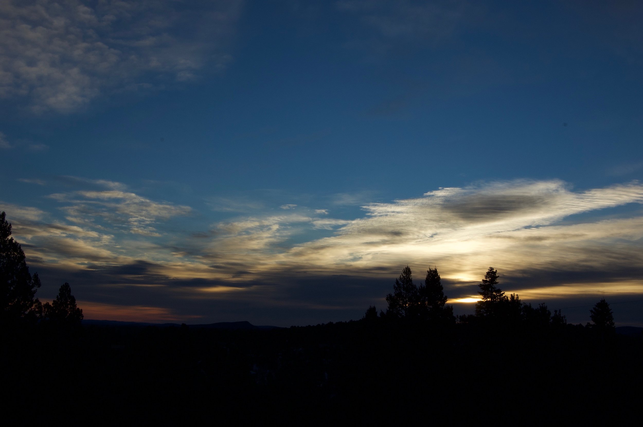 DSC_0031.NEF-2.jpg