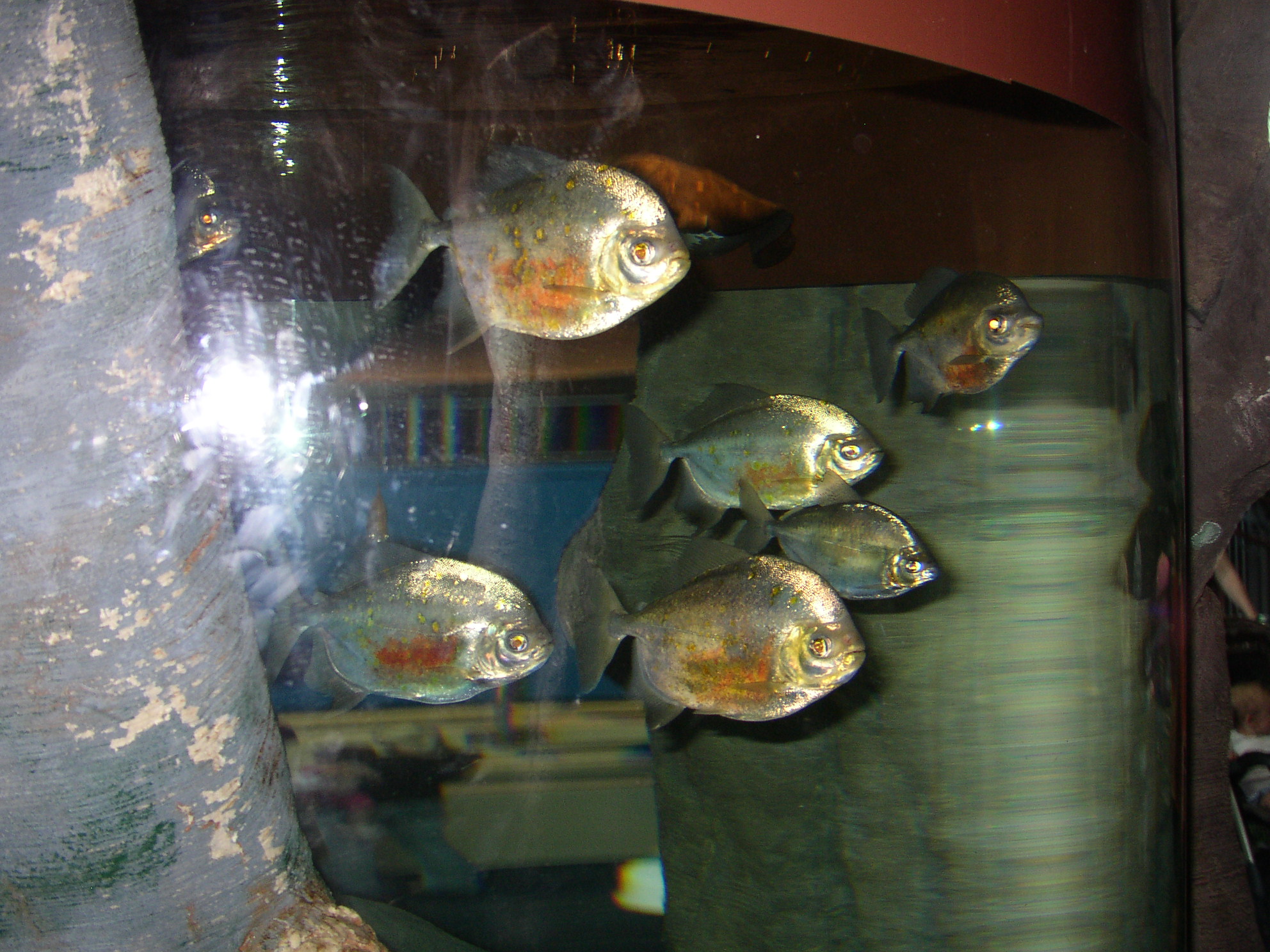 P1010672.jpg