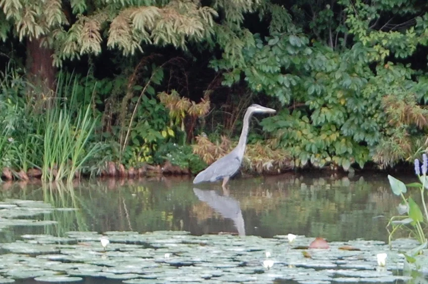 DSC_0008.jpg