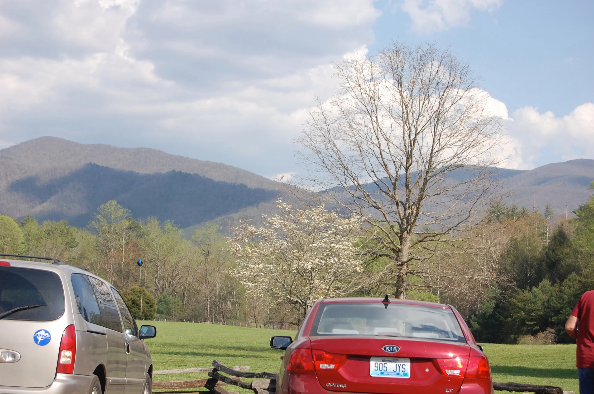 DSC_0178.jpg
