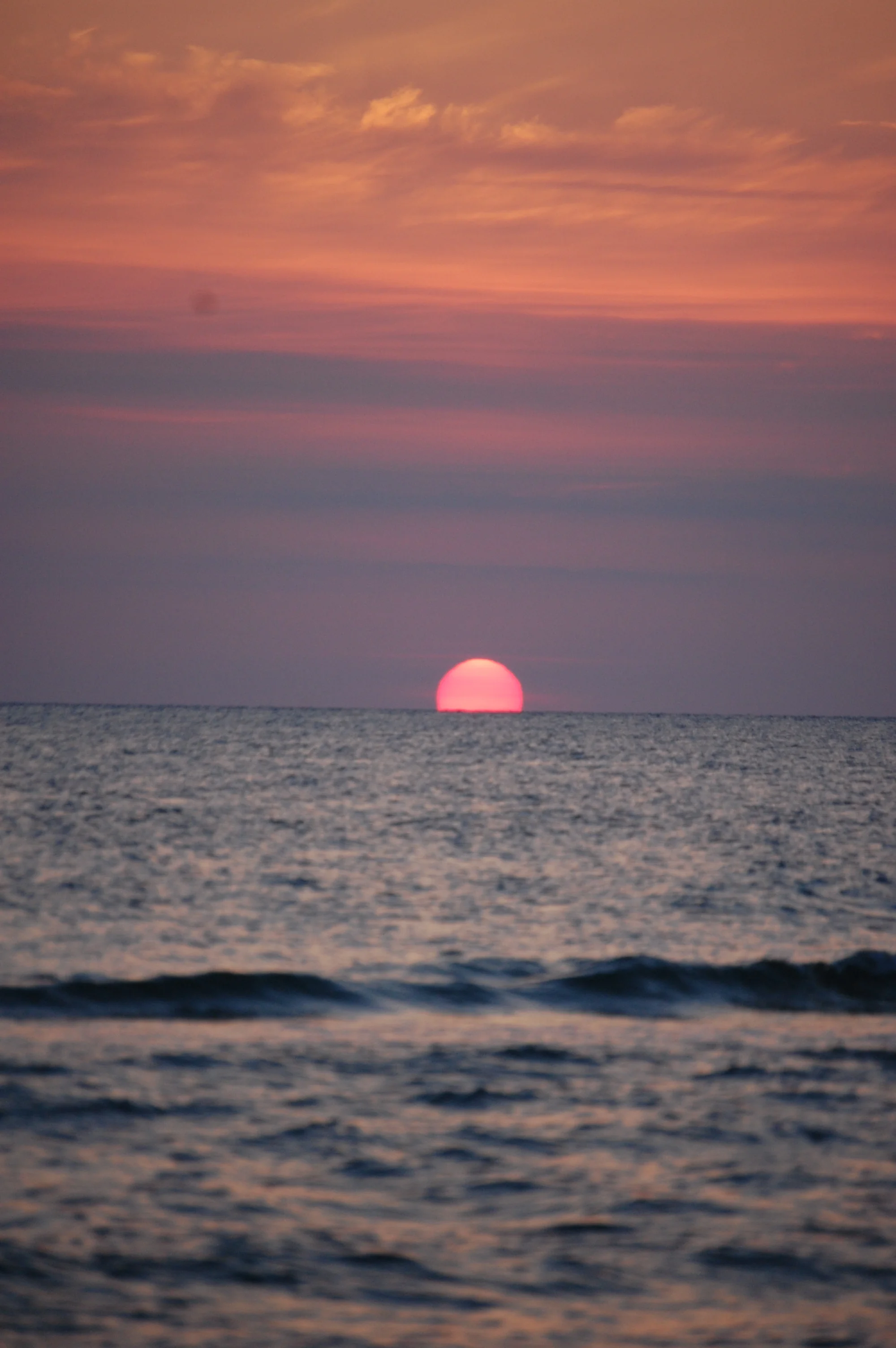 DSC_0110.jpg