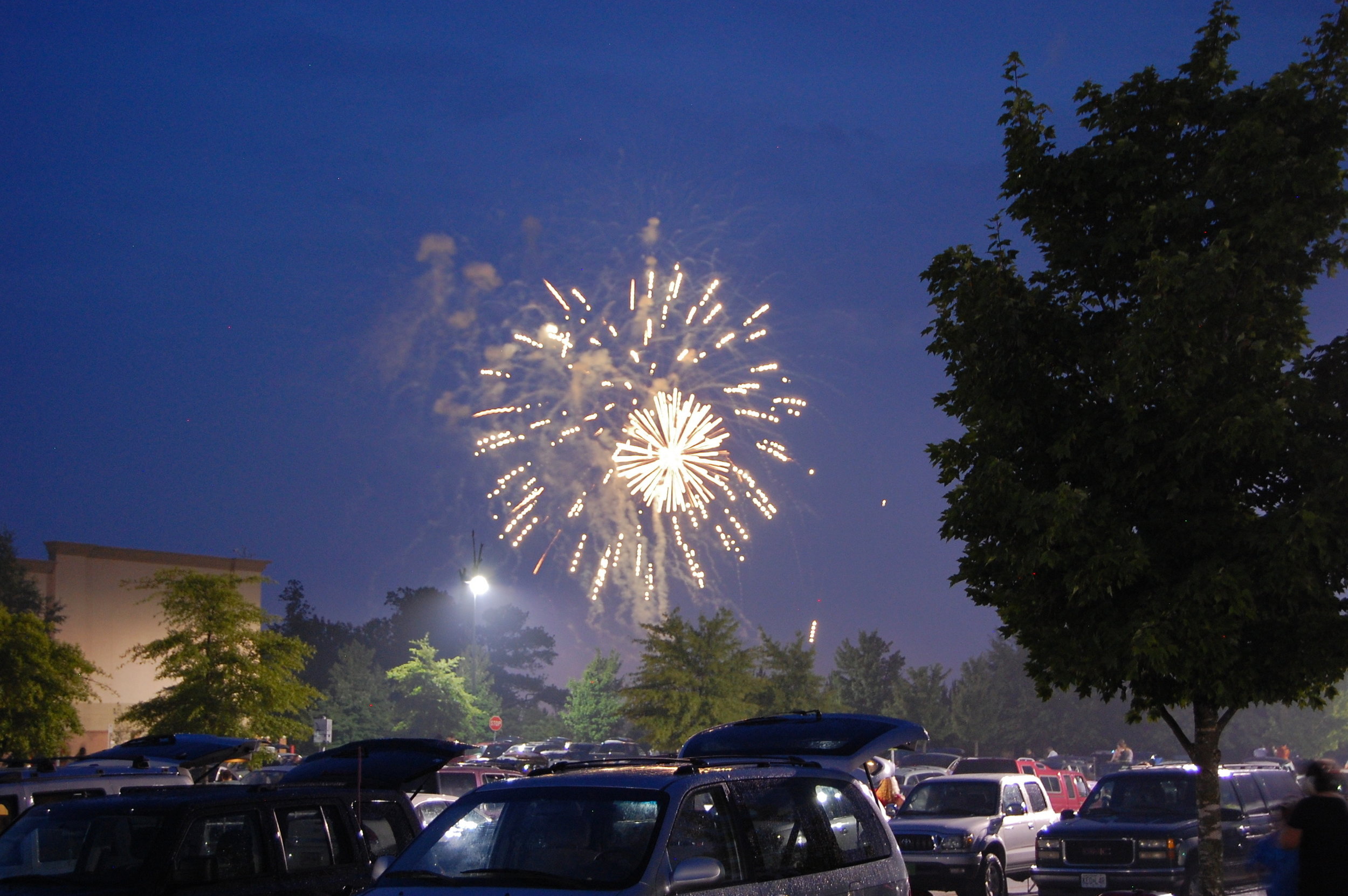 DSC_0011.jpg