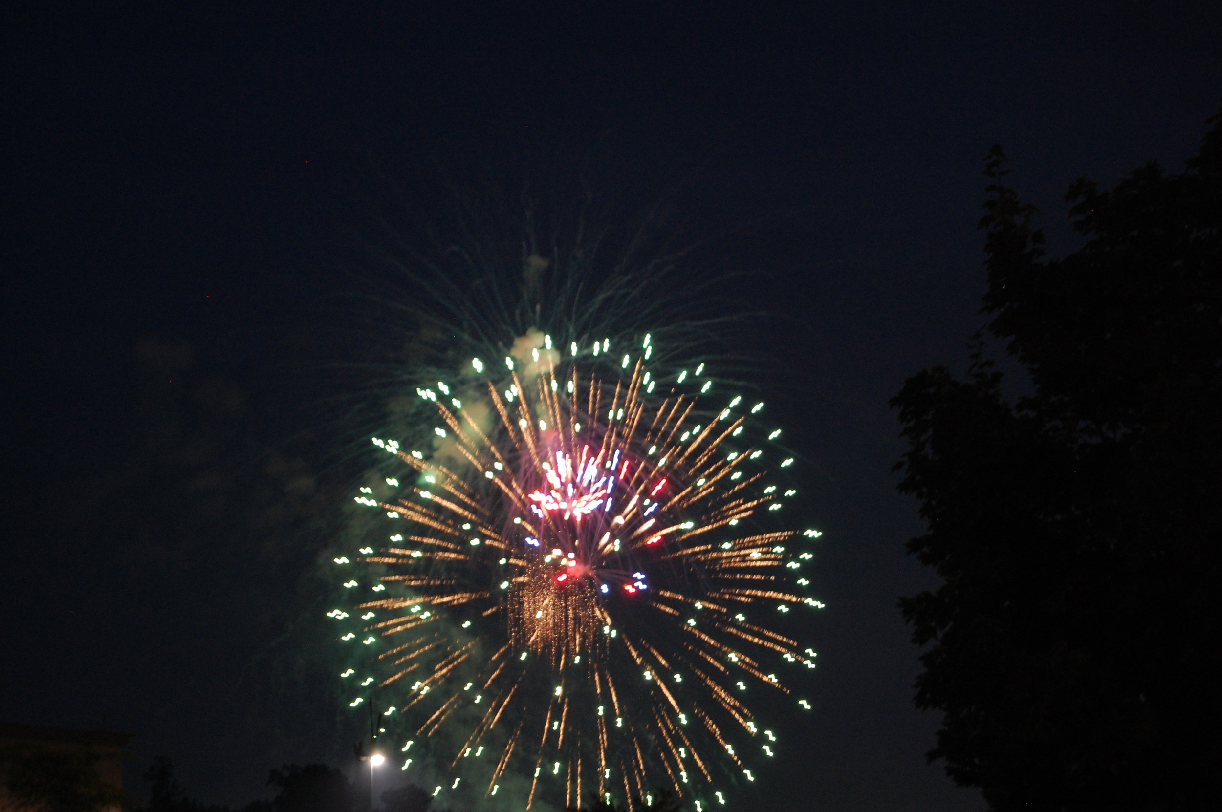 DSC_0016.jpg