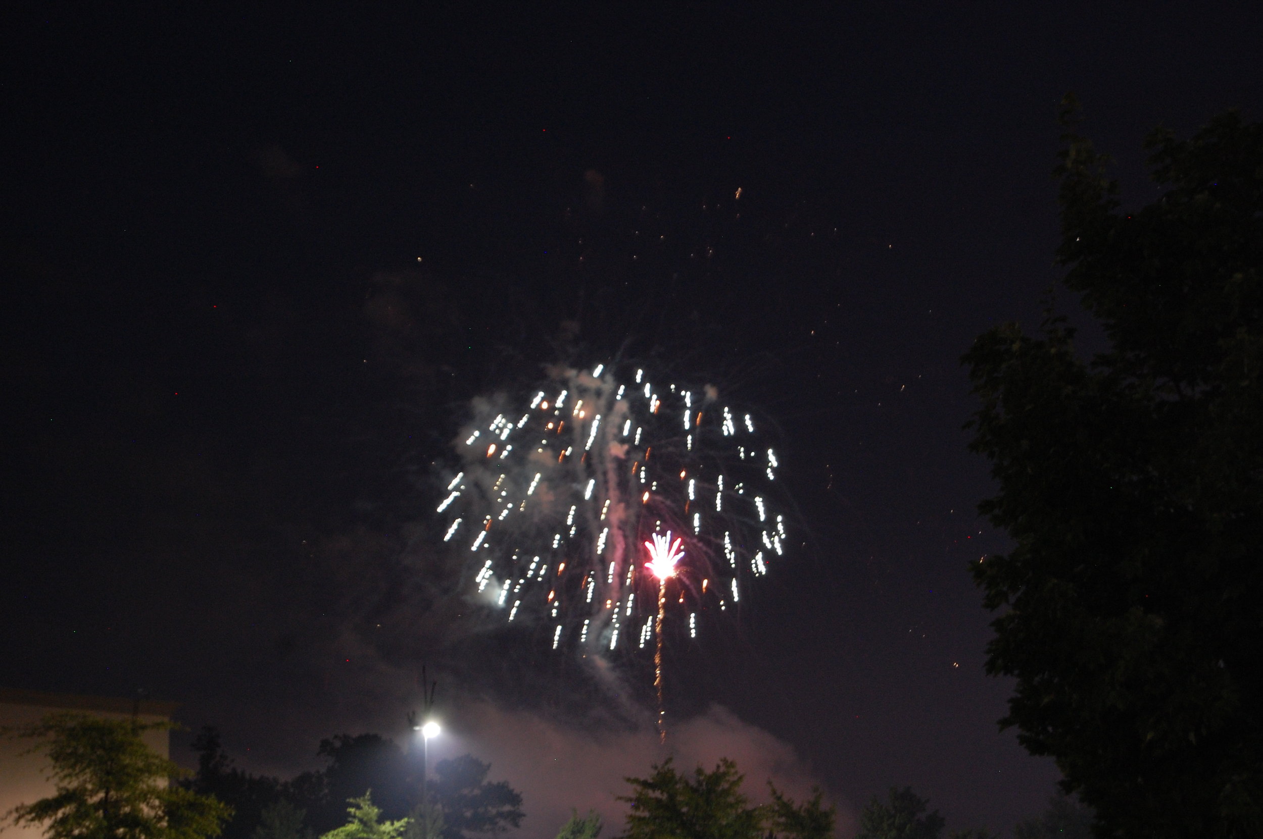 DSC_0126.jpg