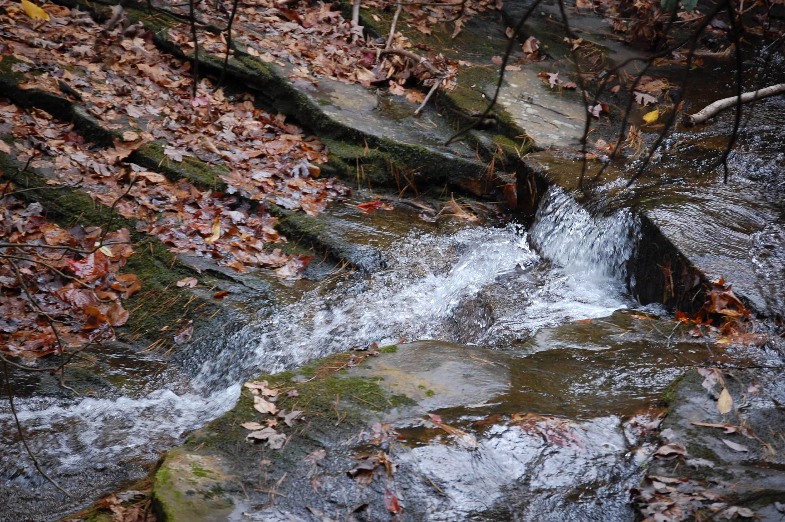 DSC_0105.jpg
