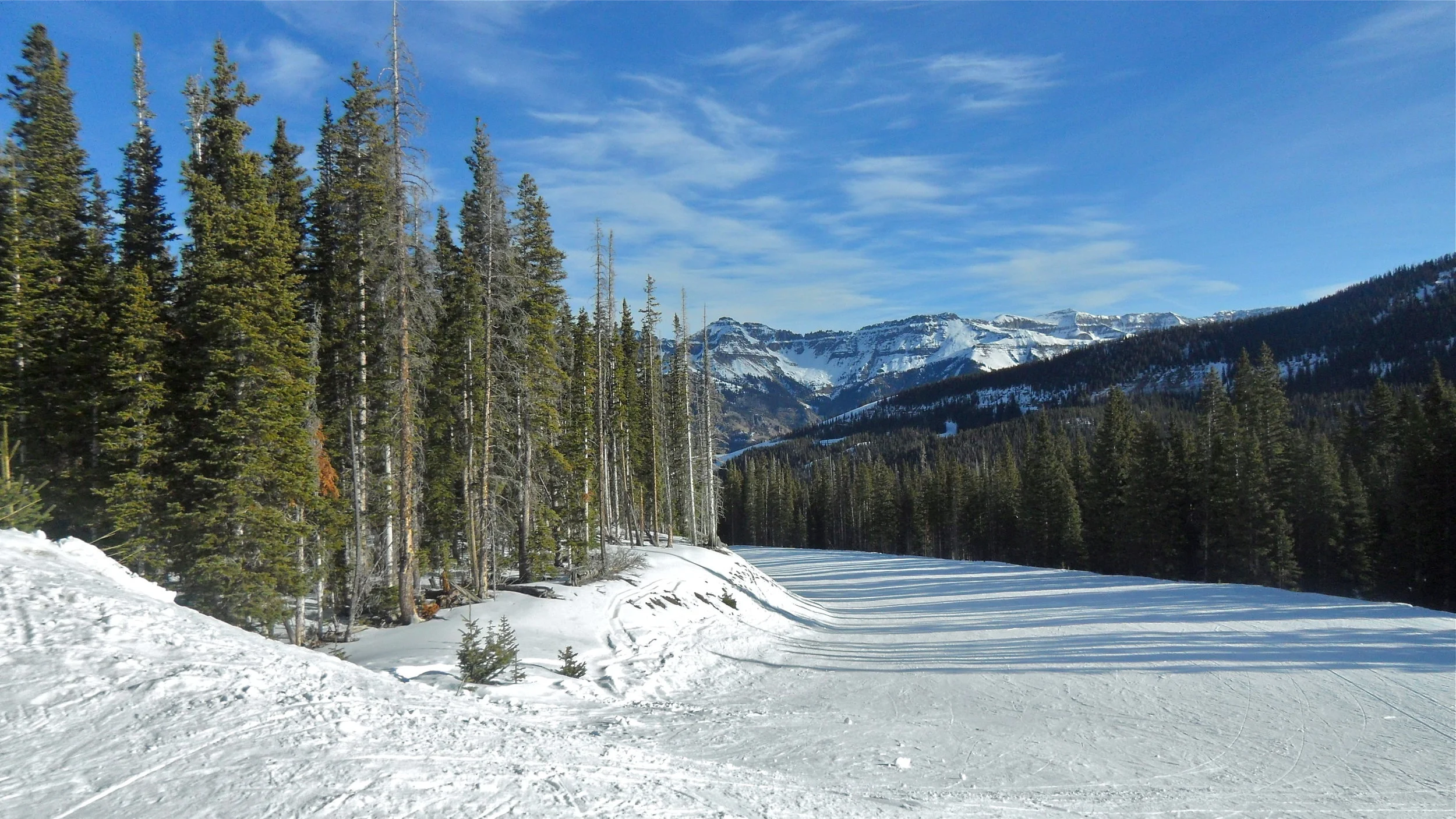 SDC13511 2.jpg