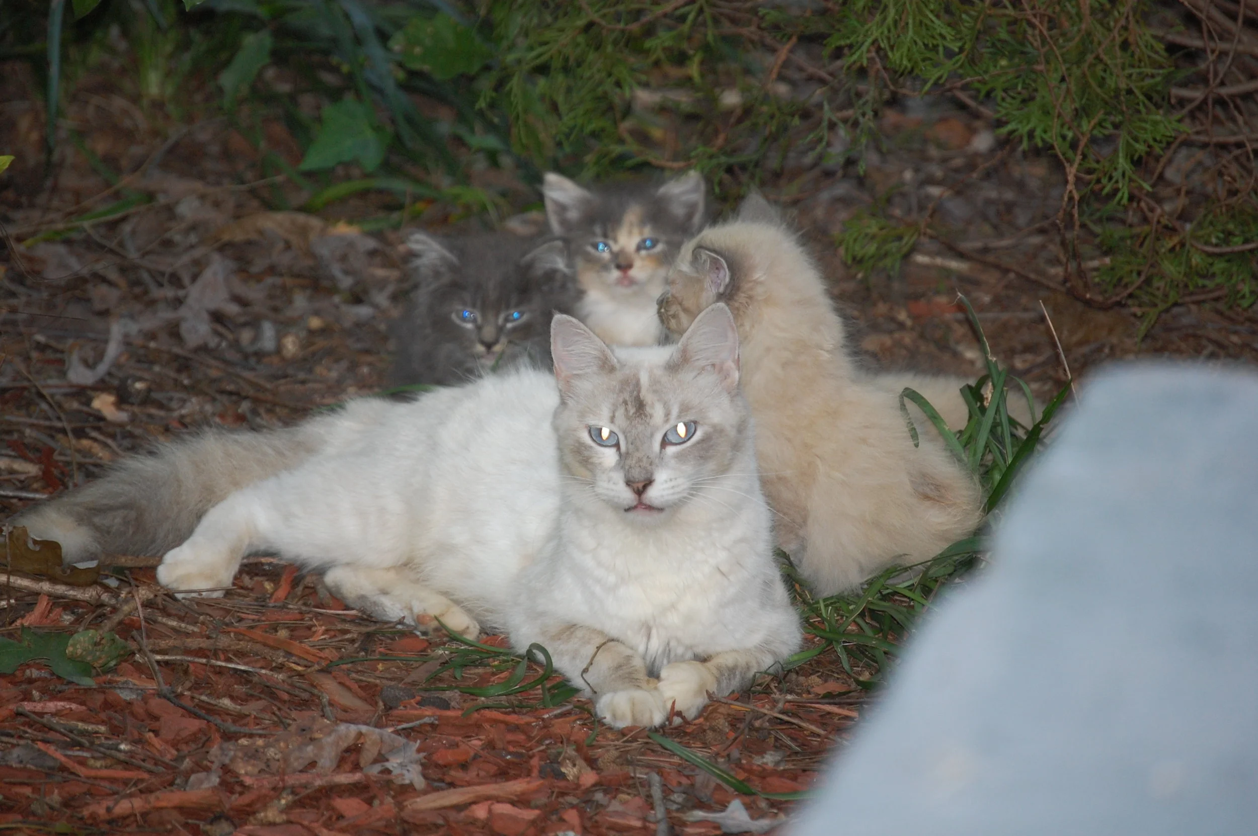 DSC_0138.jpg
