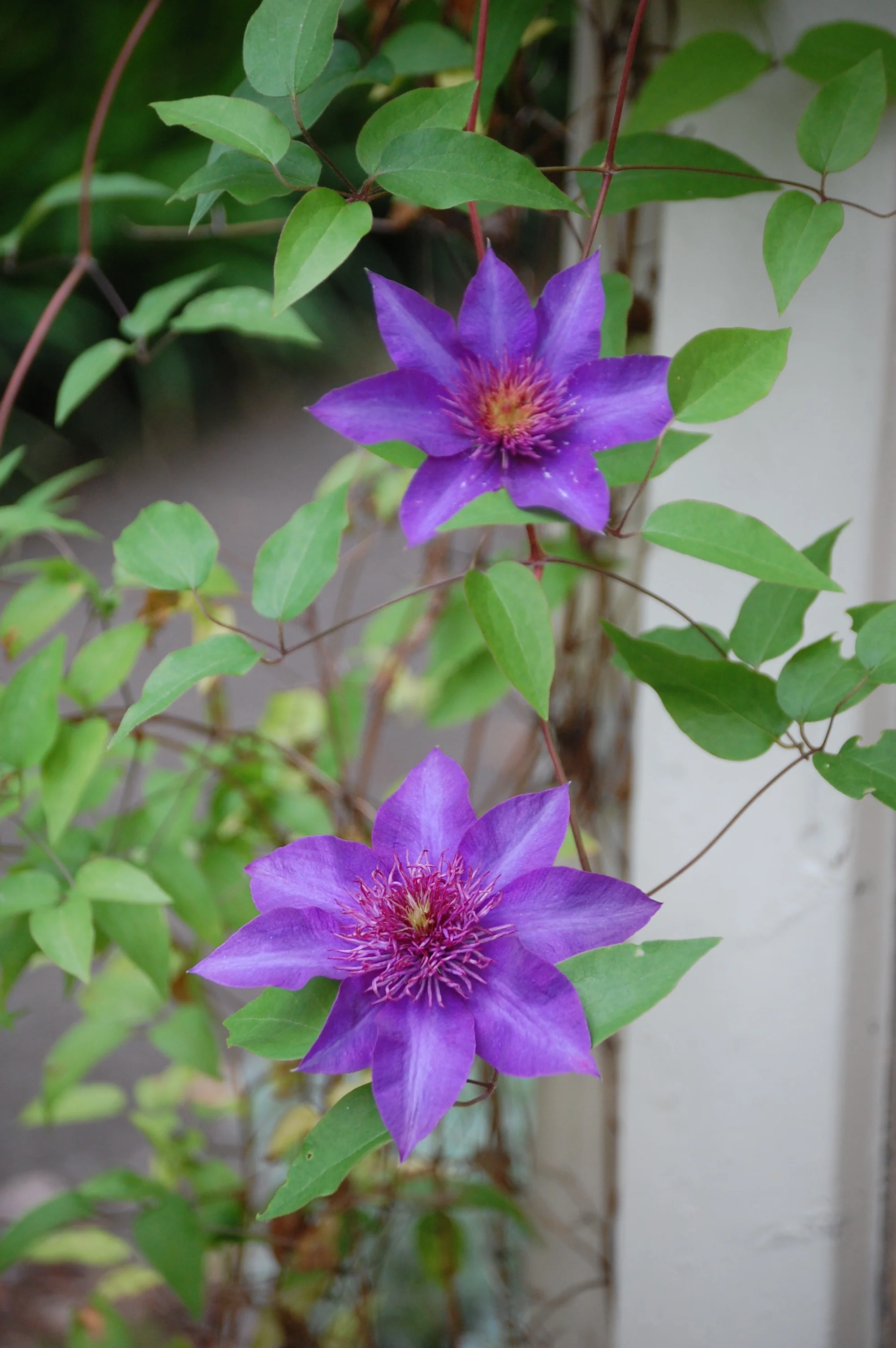 DSC_0119.jpg