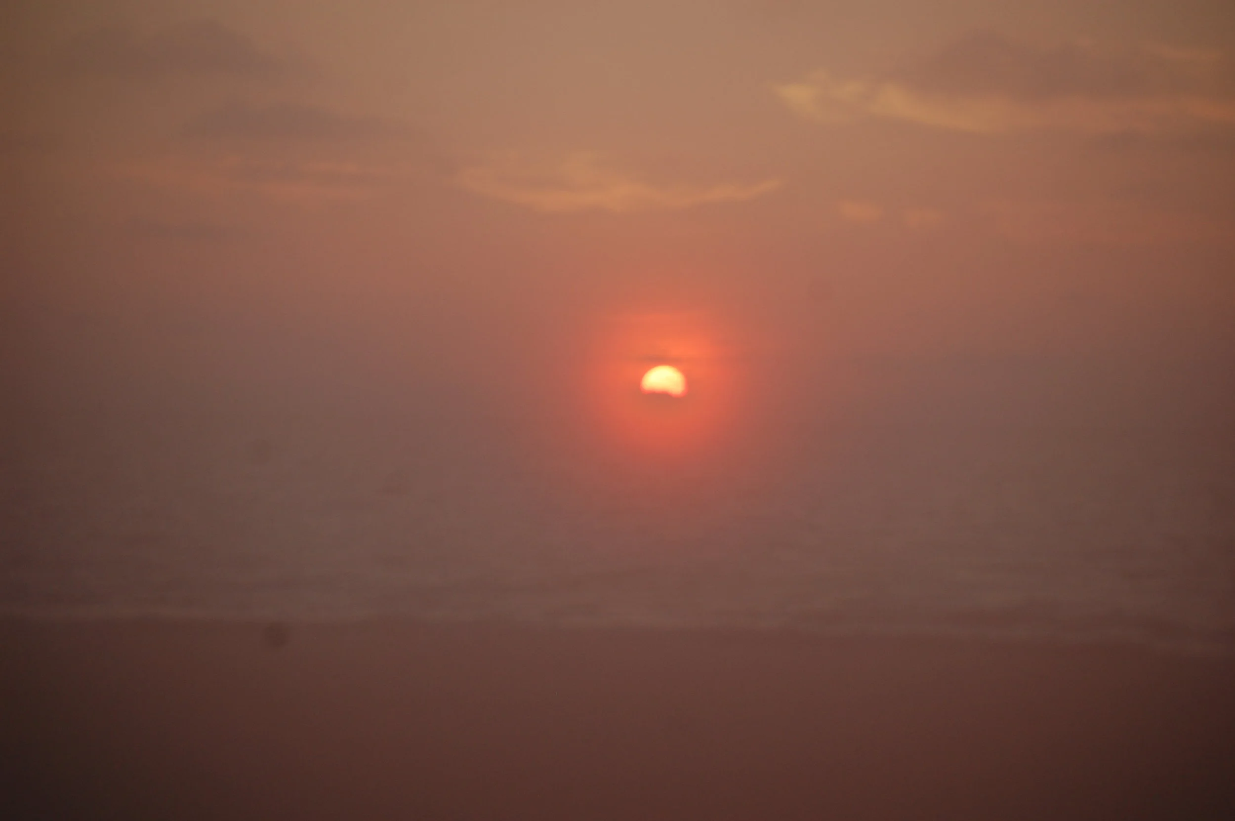 DSC_0249.jpg