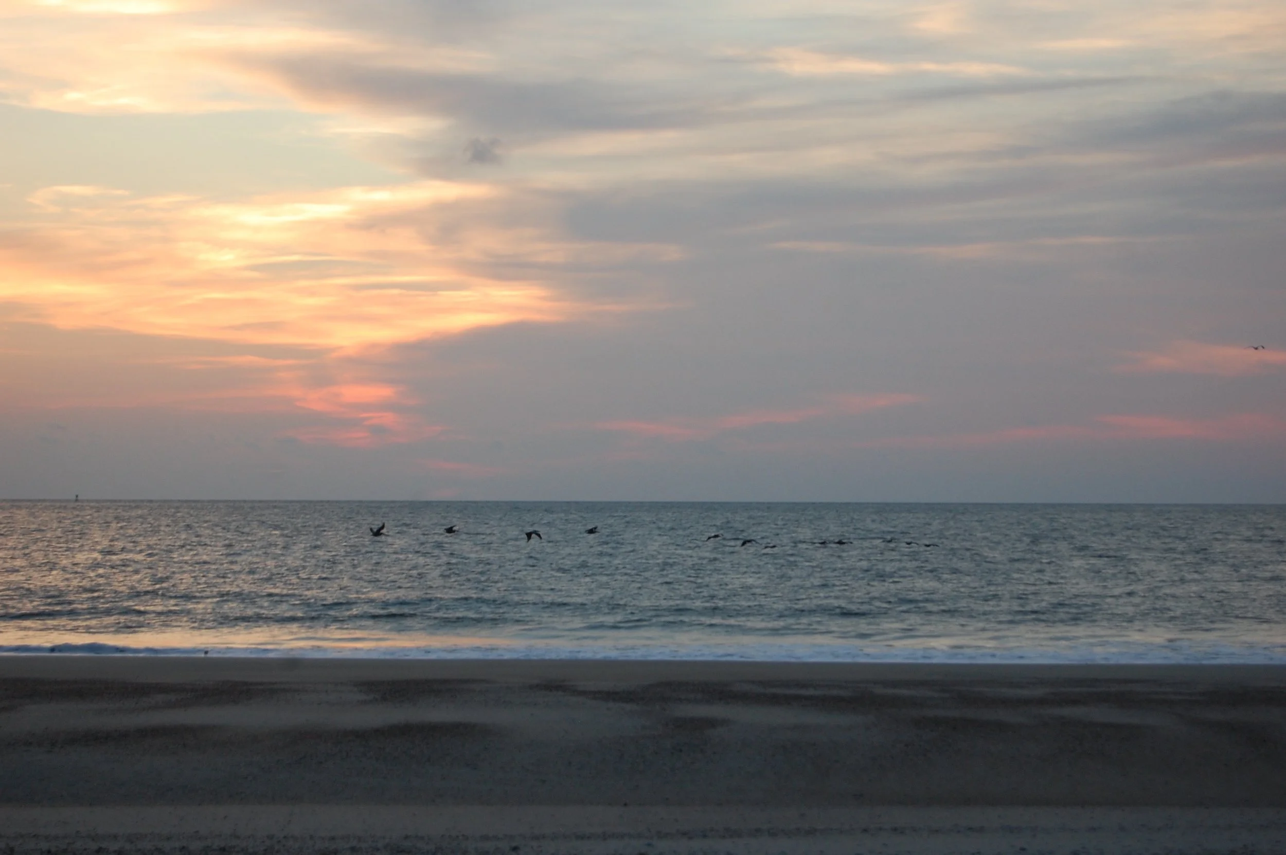 DSC_0588.jpg