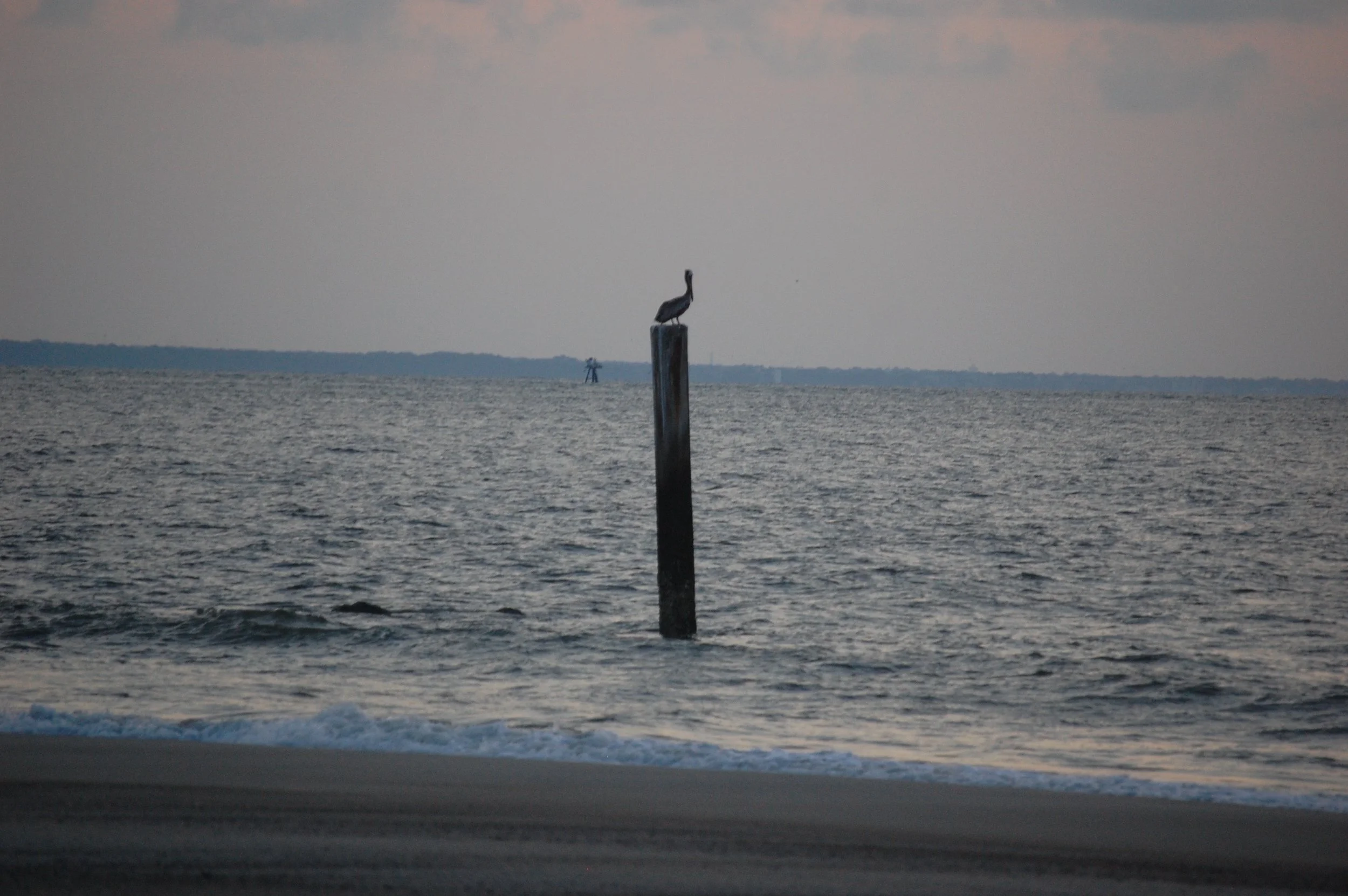 DSC_0604.jpg
