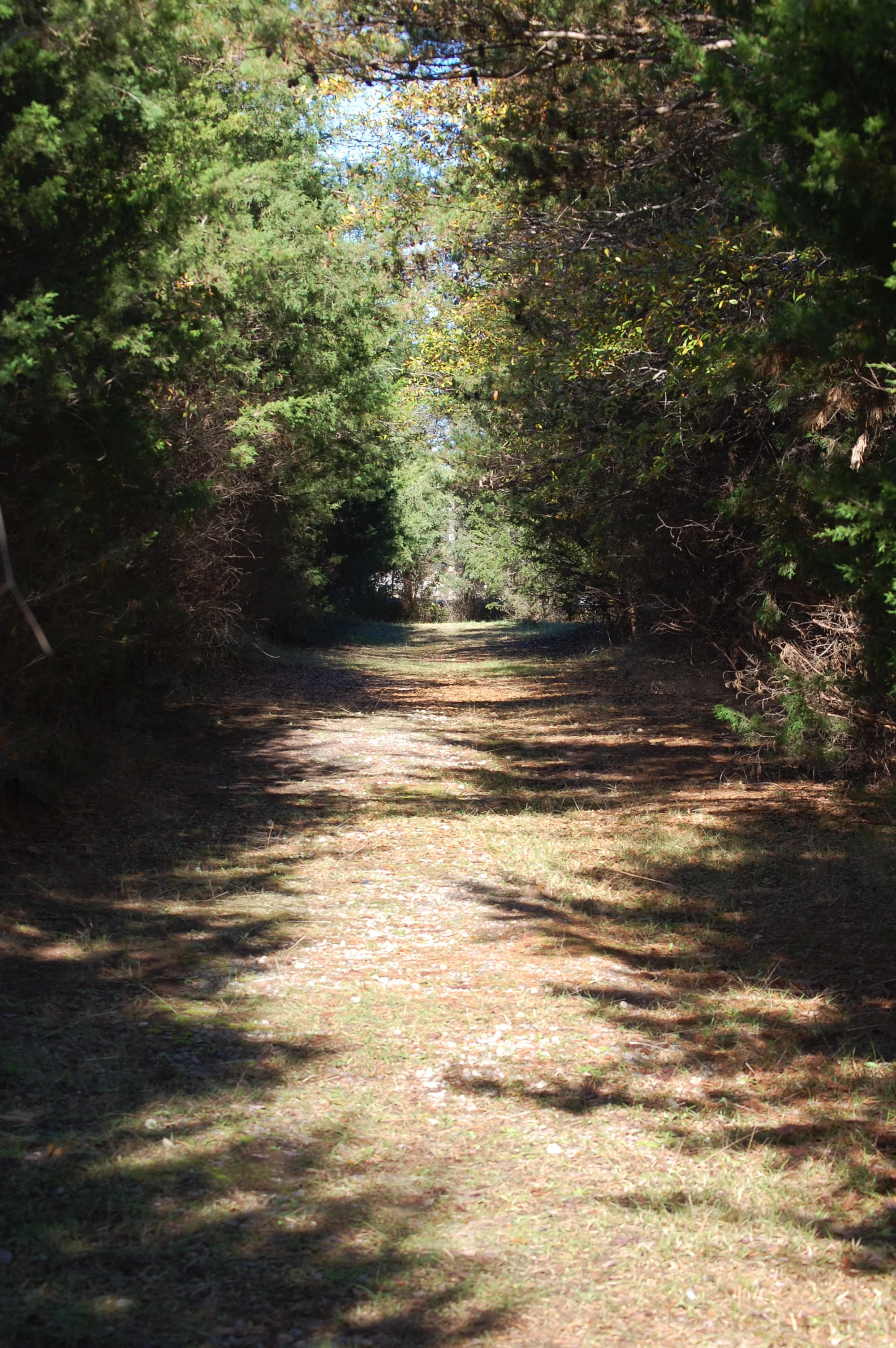 DSC_0093.jpg