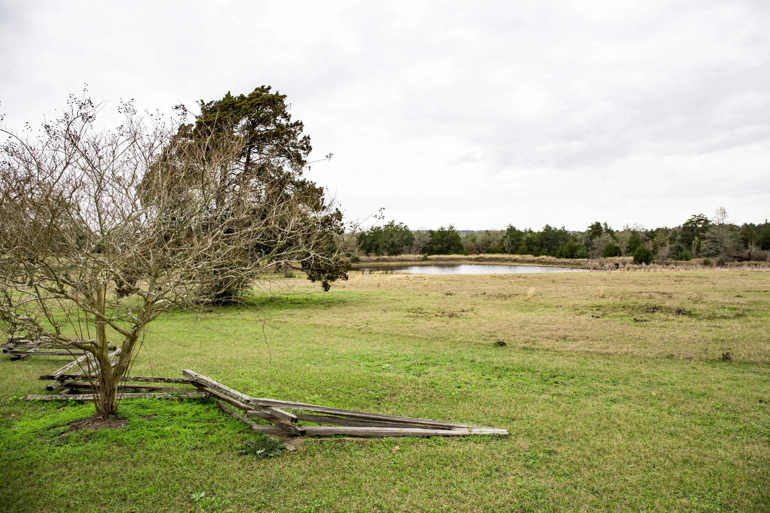 1 of 2 Ponds on the Property