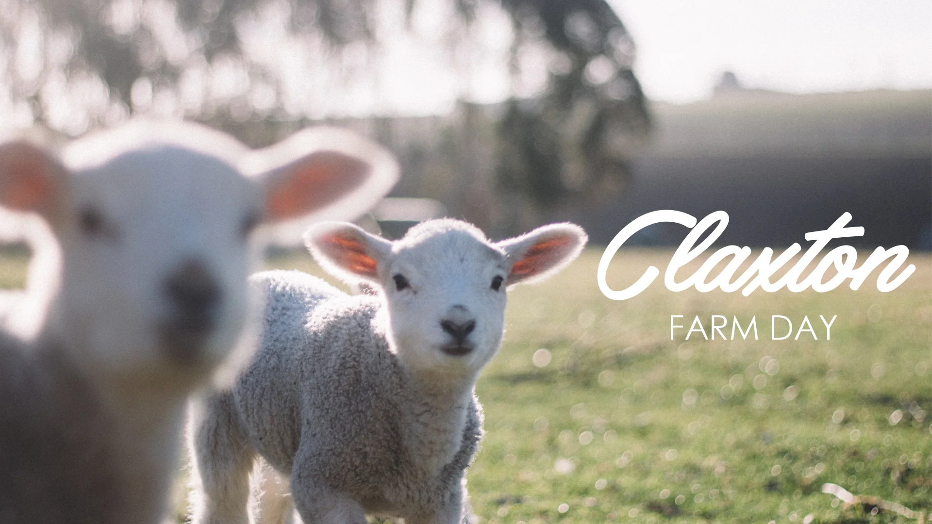 2018GUMCSCREEN-ClaxtonFarm.jpg