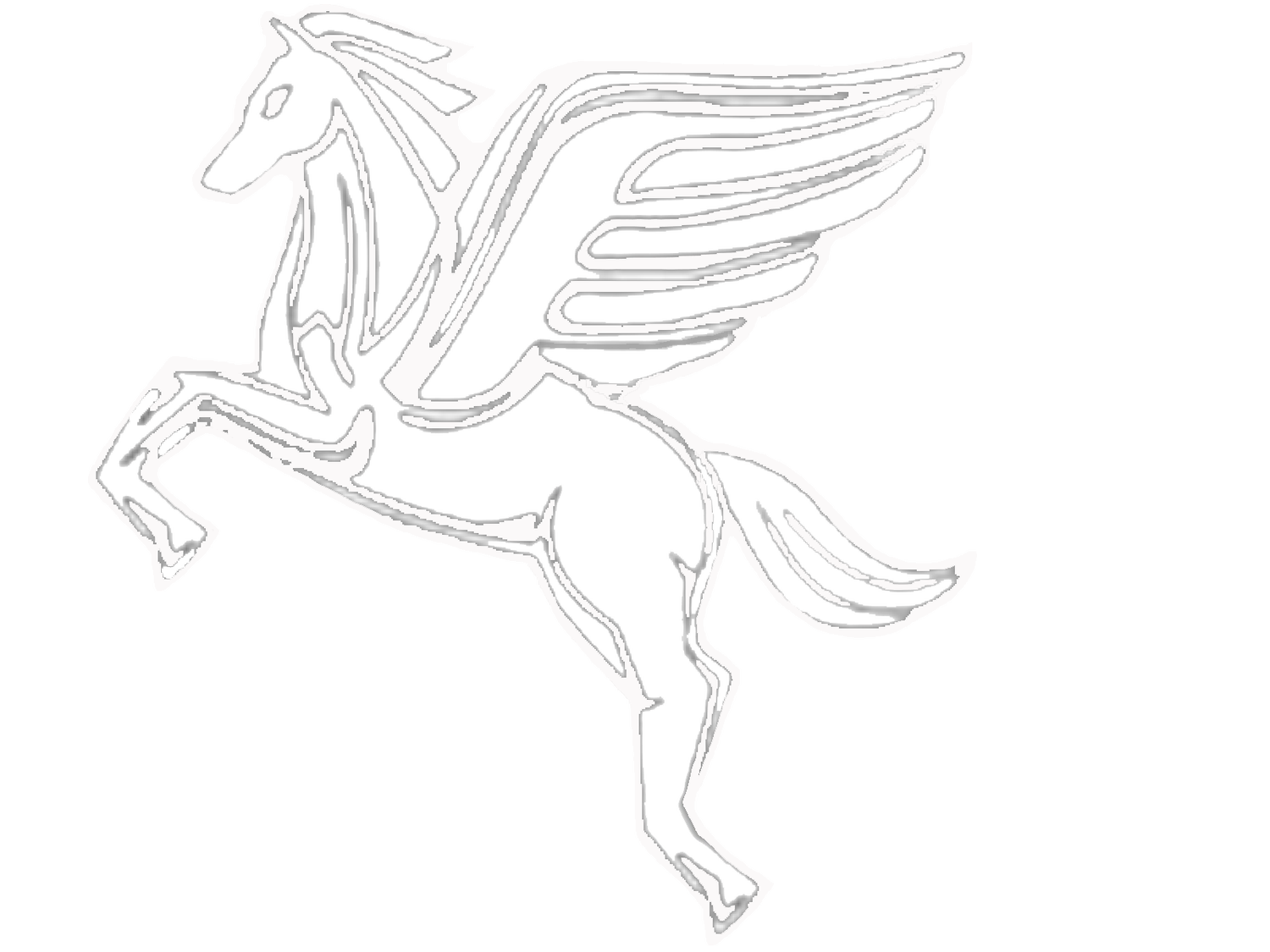 Pegasus Tile & Surface