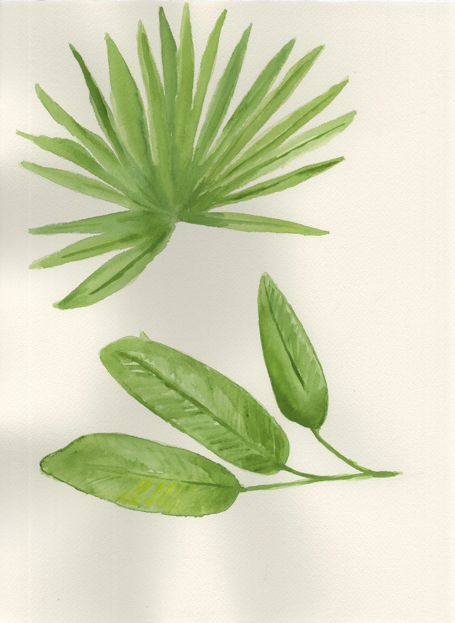 leafmotif_becker.jpg