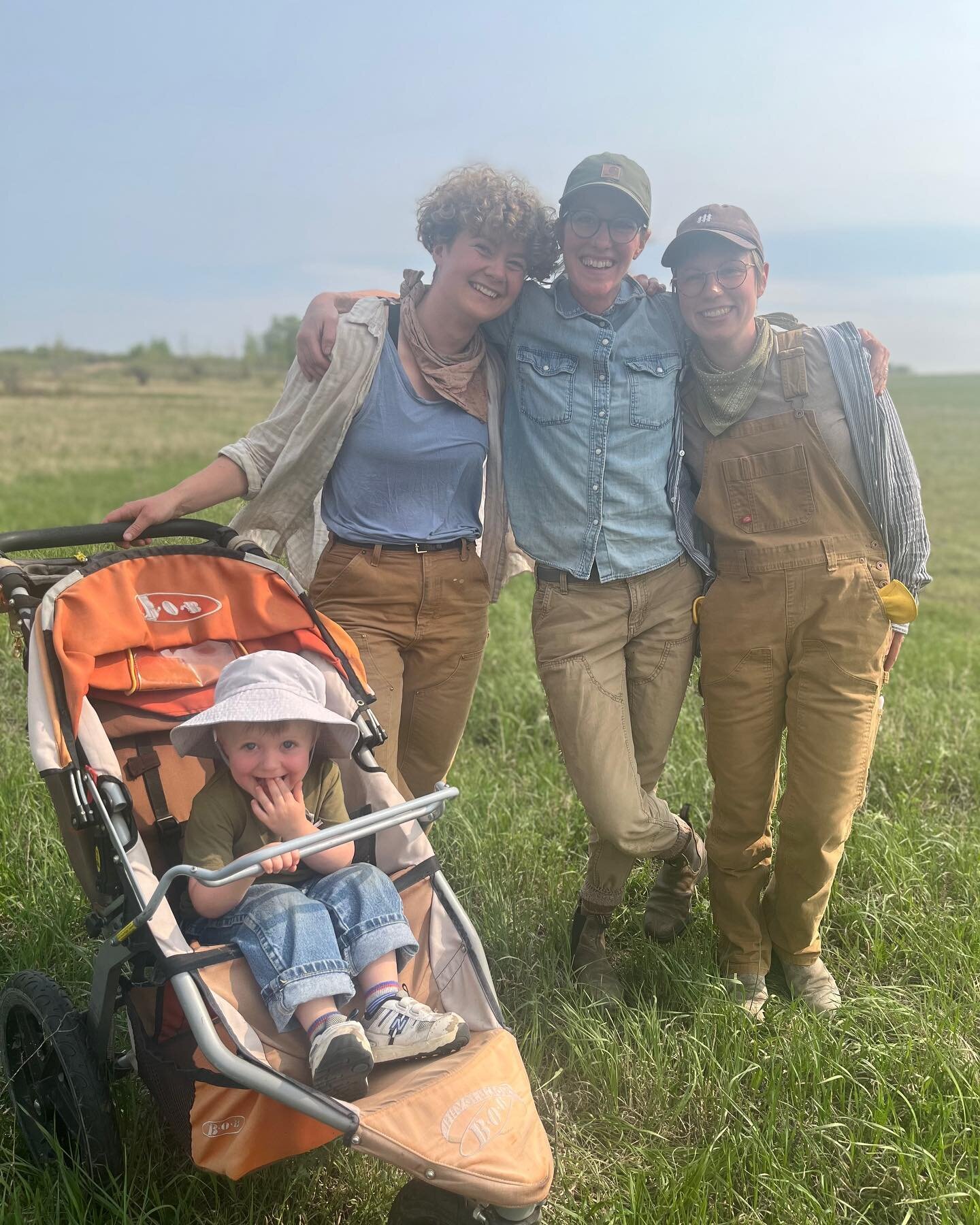 A visit from 2021 Apprentice @erinjolynn - who, as luck would have it, is a longtime friend of 2023 Apprentice @katherynemily.

A nice pasture walk, with pants tucked into socks to outwit the ticks.