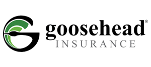 goosehead+insurance.png