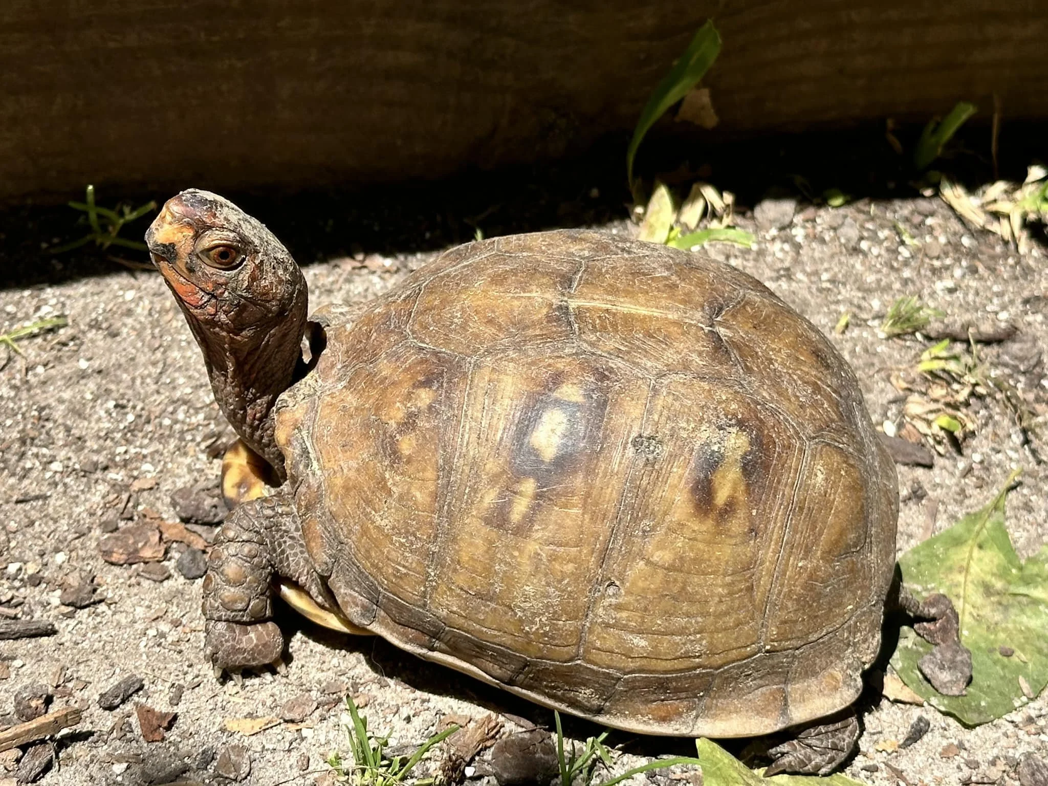 490515365_1226037499521894_3182999155634001234_n (1).jpg