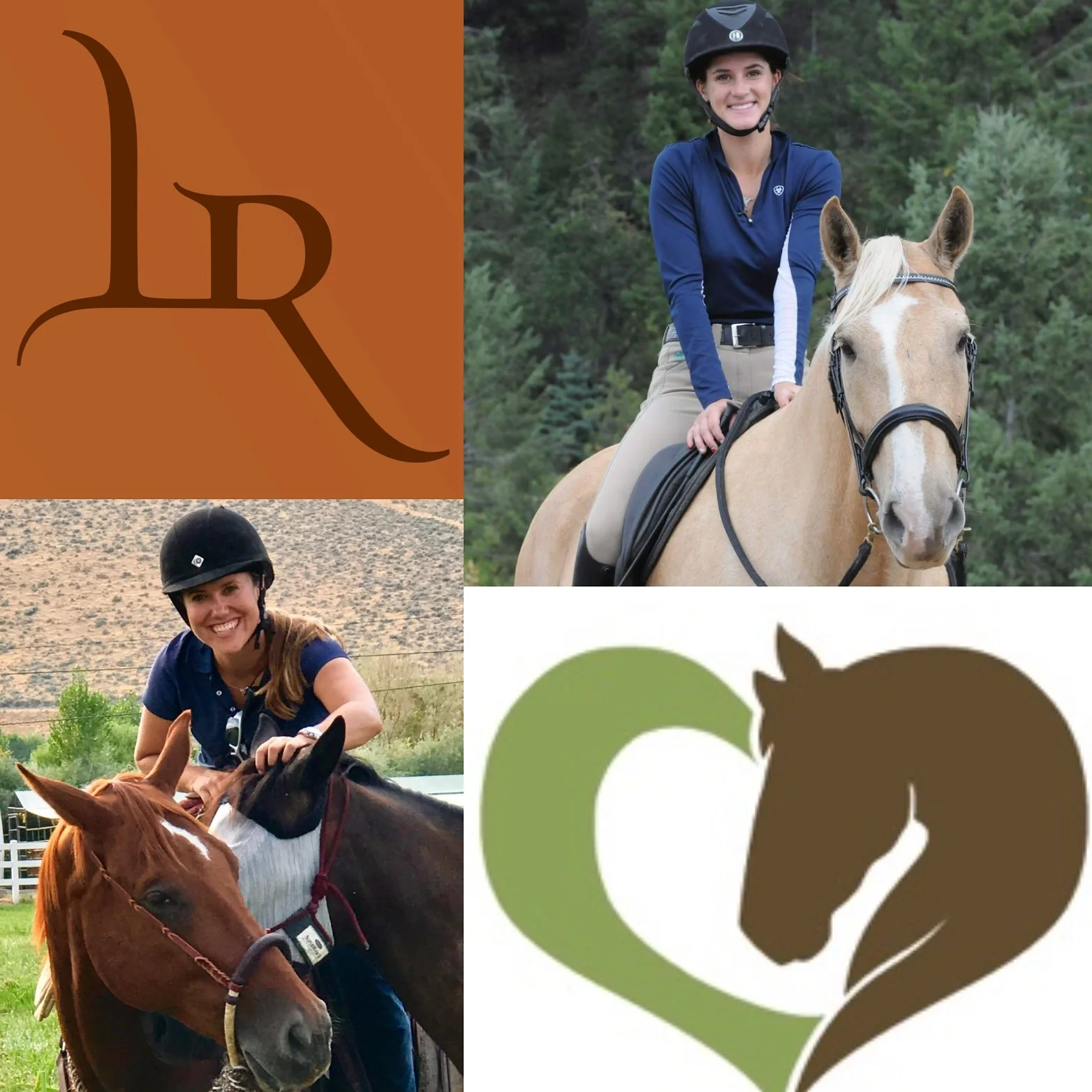 Yields, Harmony & Purpose