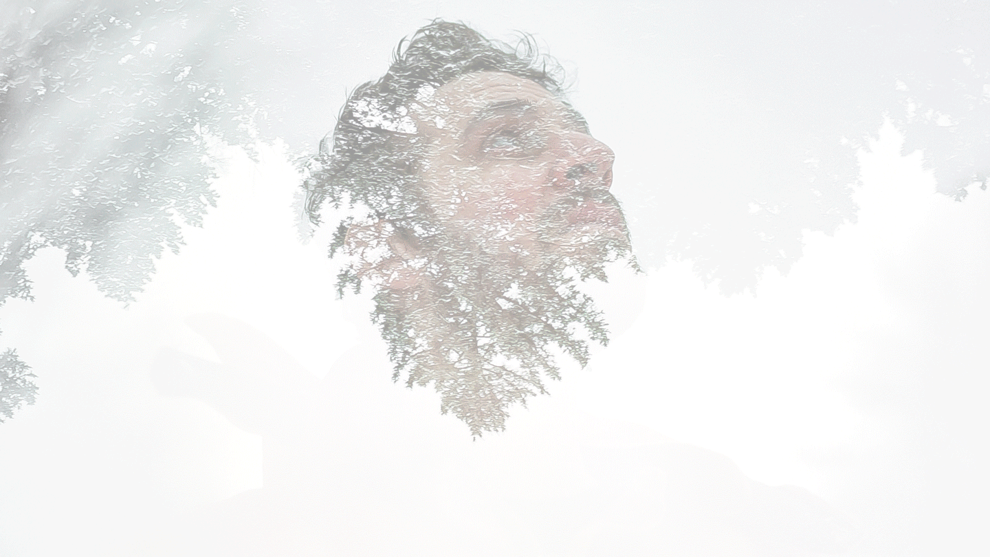 Homepage - white overlay.gif